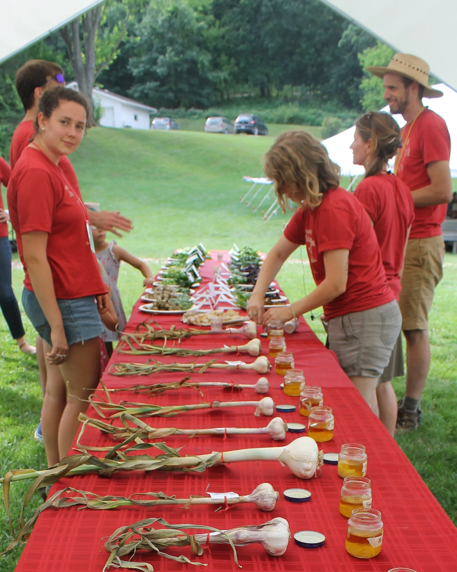 A garlic lover's dream: a dozen varieties are readied for tasting at the 2017 Conference and Campout.