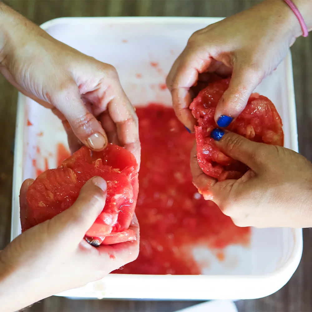 removing seeds from tomatoes, preparing them for processing.