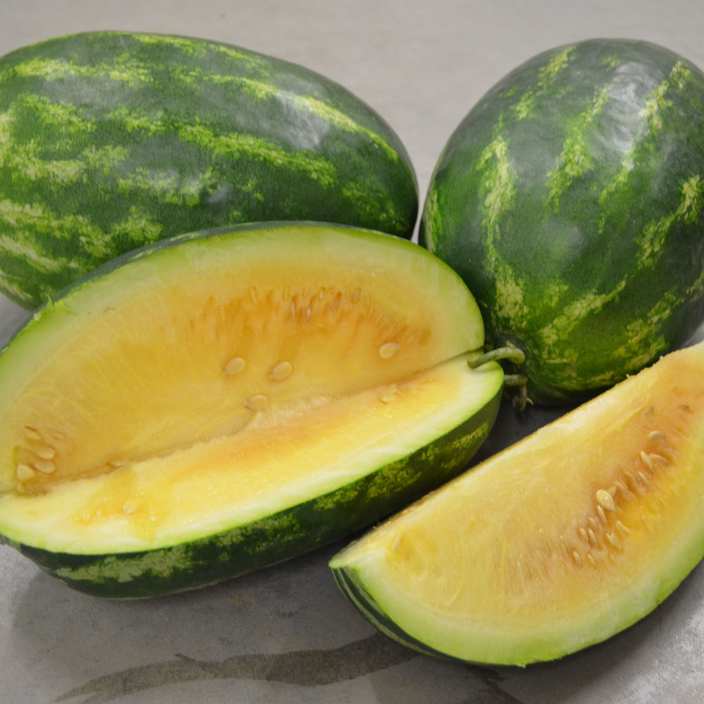 Borries Yellow Watermelon