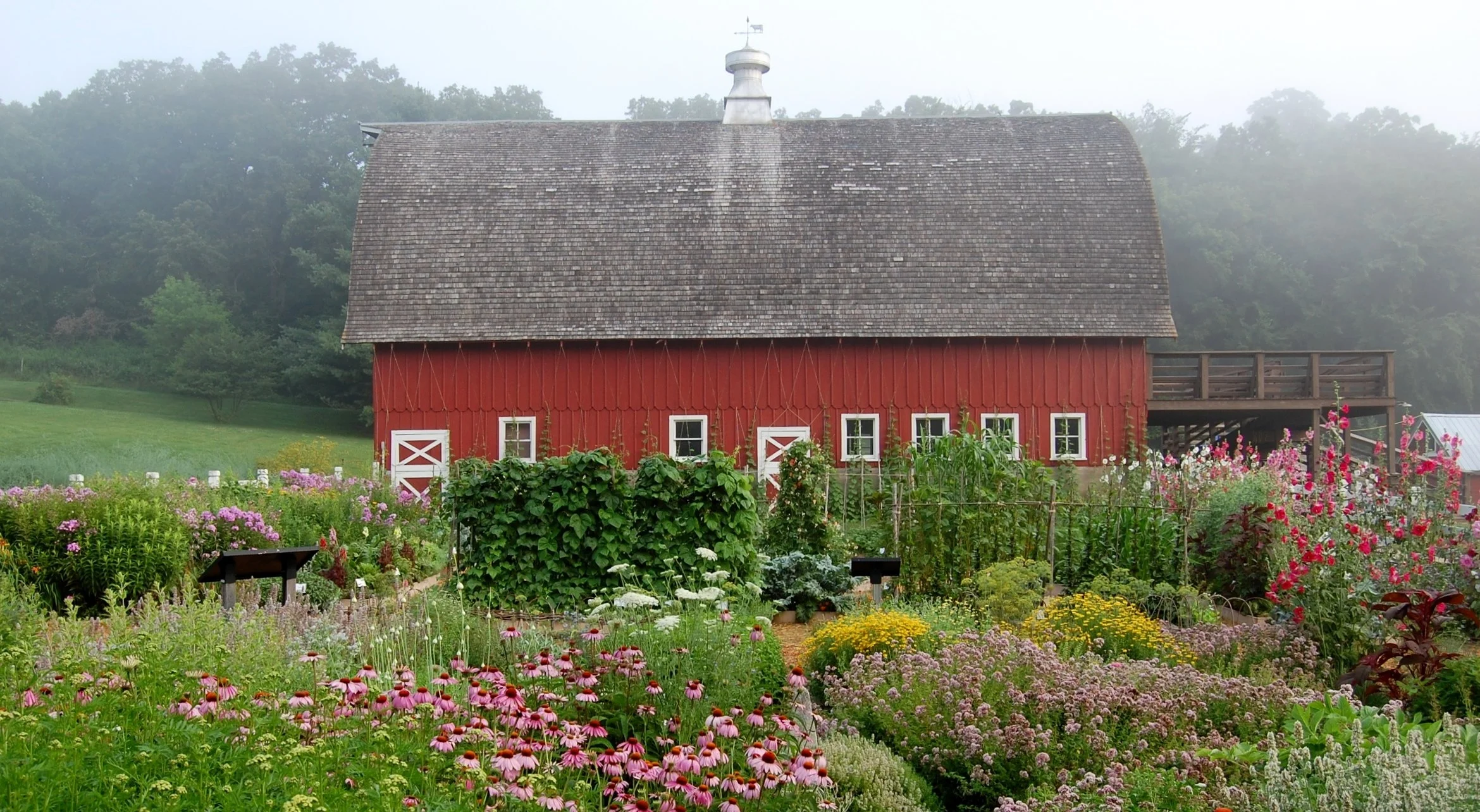 jlb_7.19.11 (17).JPG