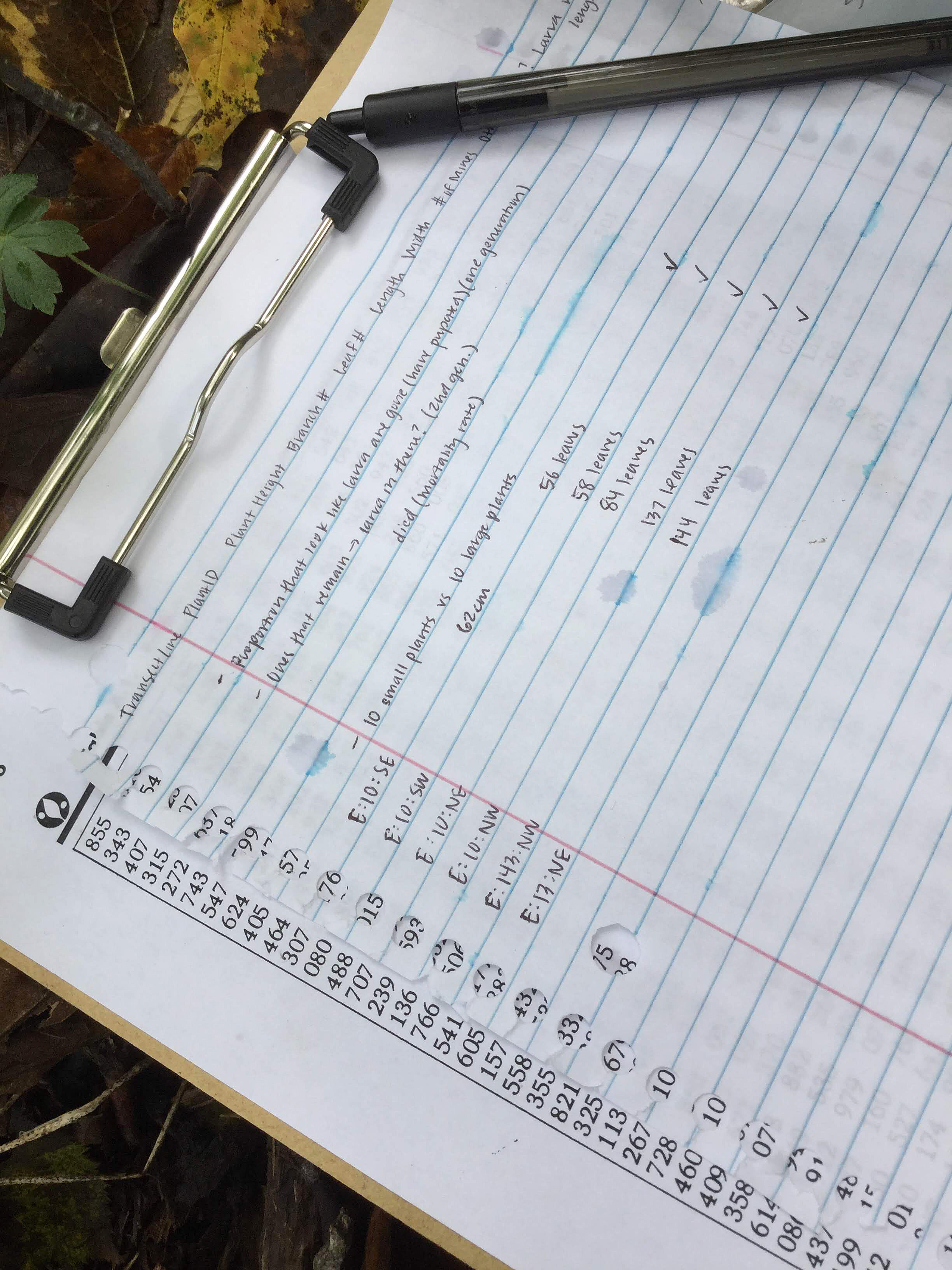 在大学里发现了一份研究生学位的学生,在大学的五年前,有一名学生。贝丝·埃弗里的照片。