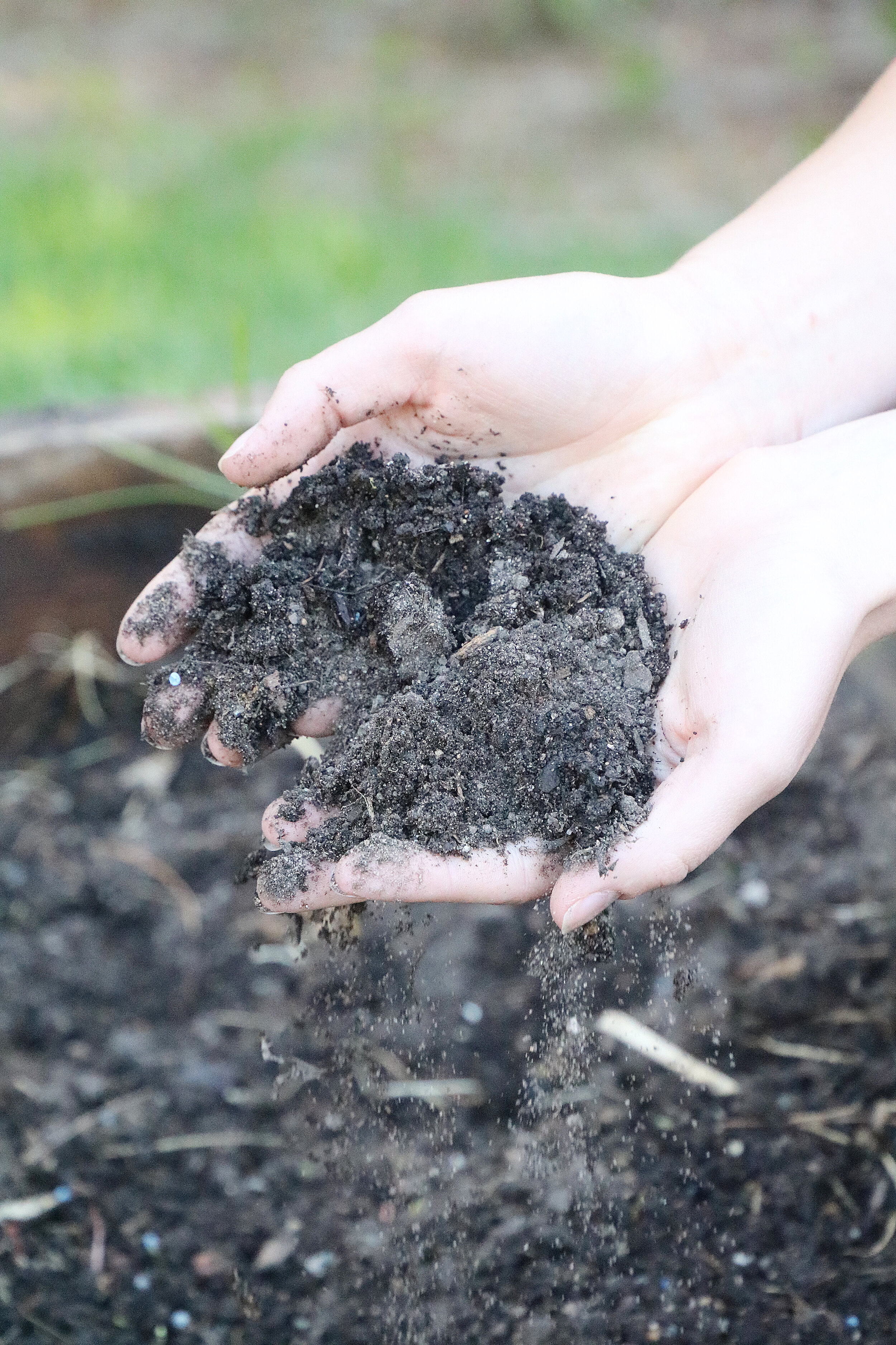 用营养丰富的堆肥改良土壤。