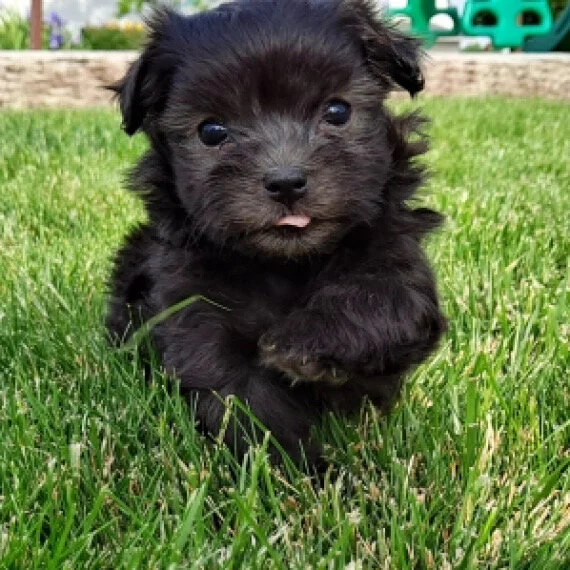 Monday Musings 6-21-21