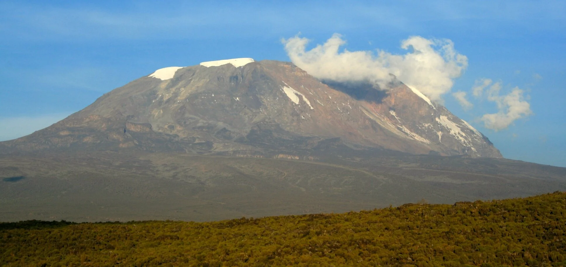 Monday Musings 7-5-21