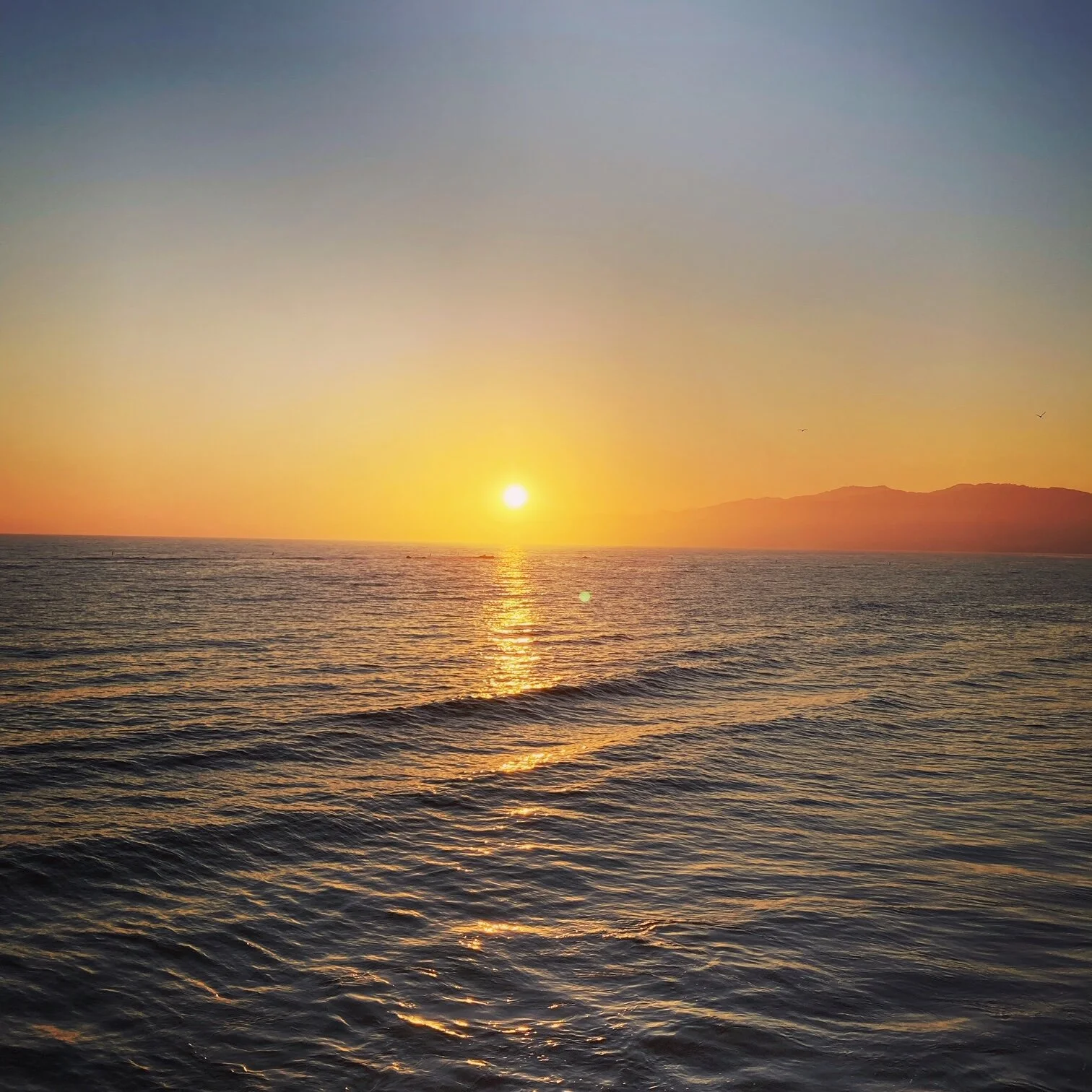 Monday Musings 8-30-21