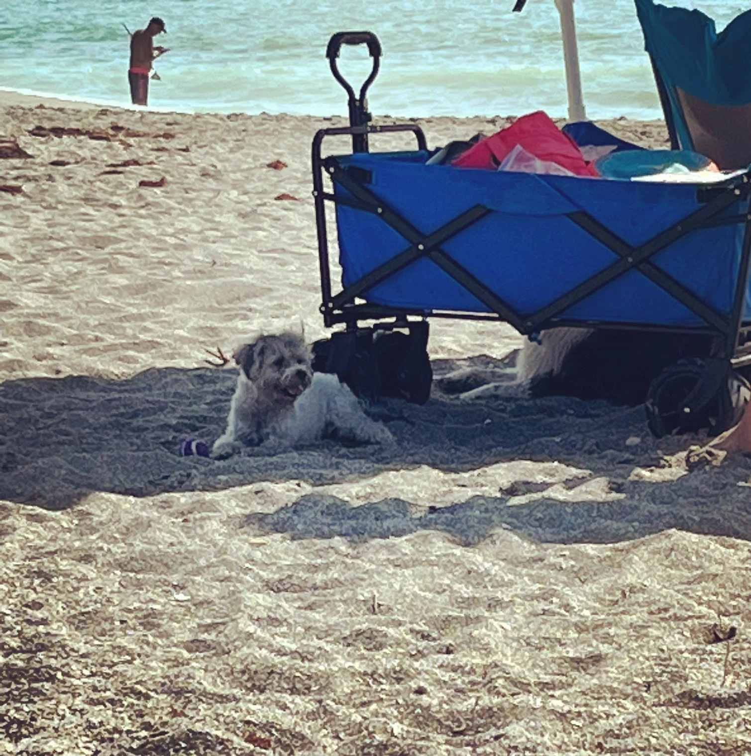 Five Things - February 27, 2023