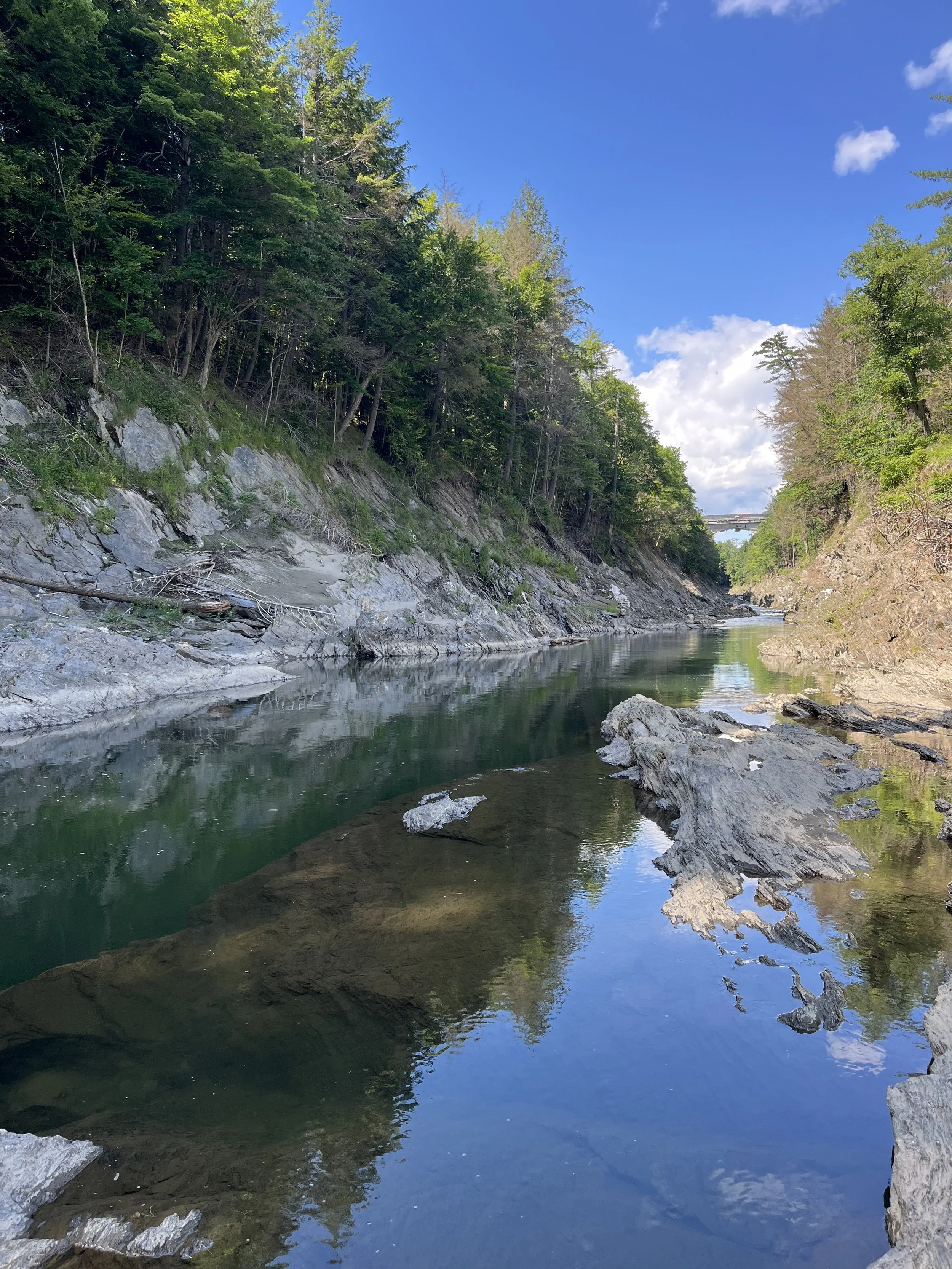 Five Things - July 15, 2024