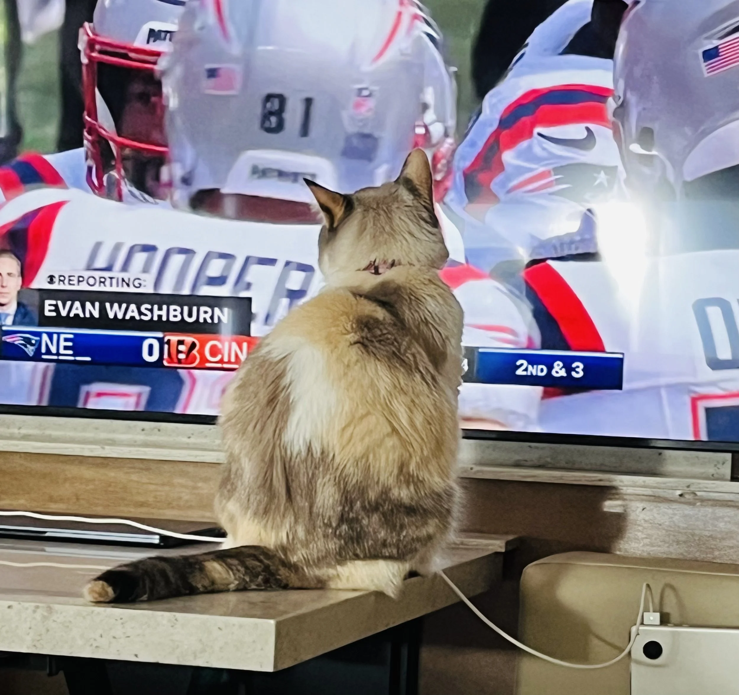 Five Things - September 9, 2024