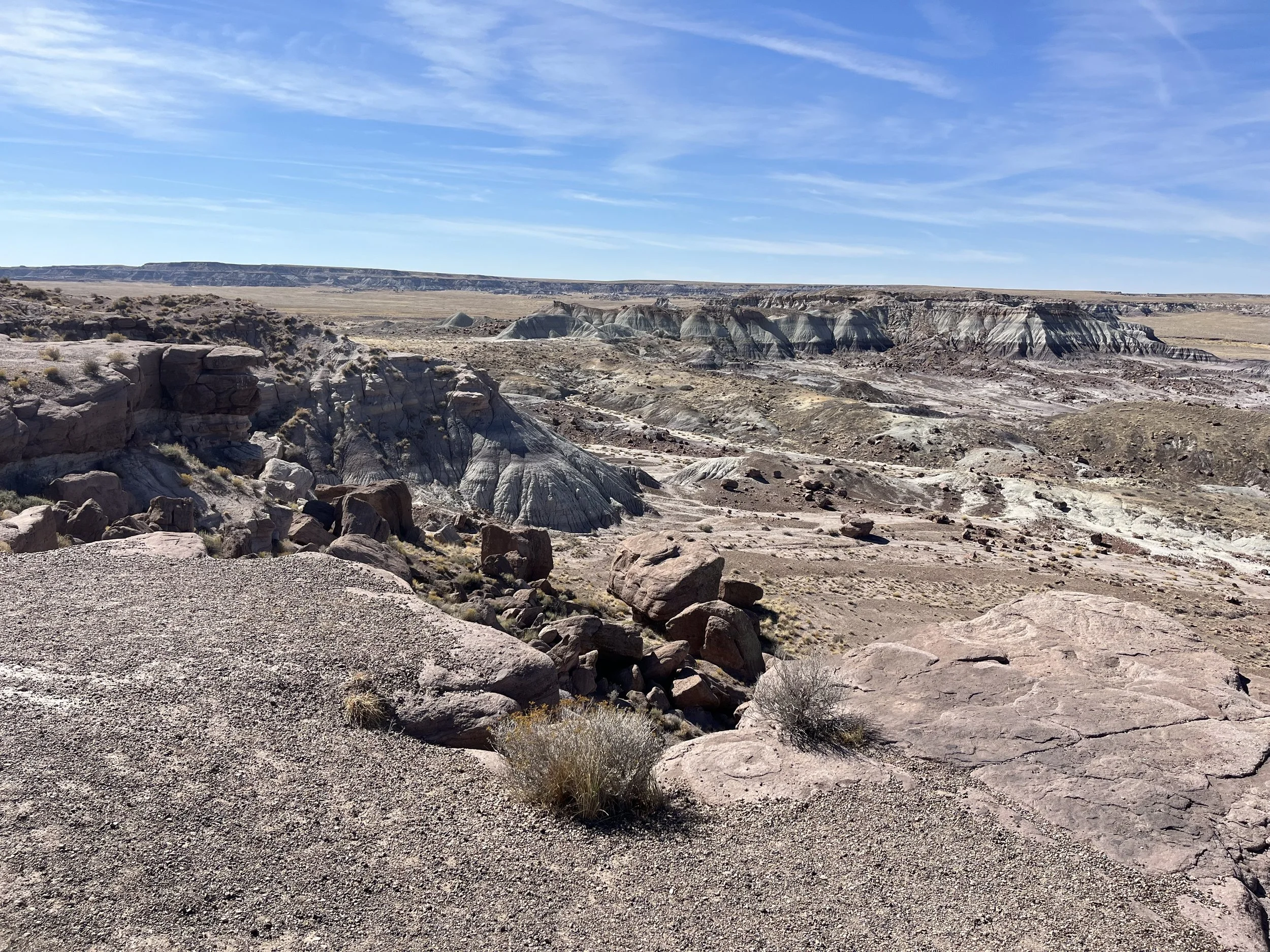 Five Things - November 4, 2024