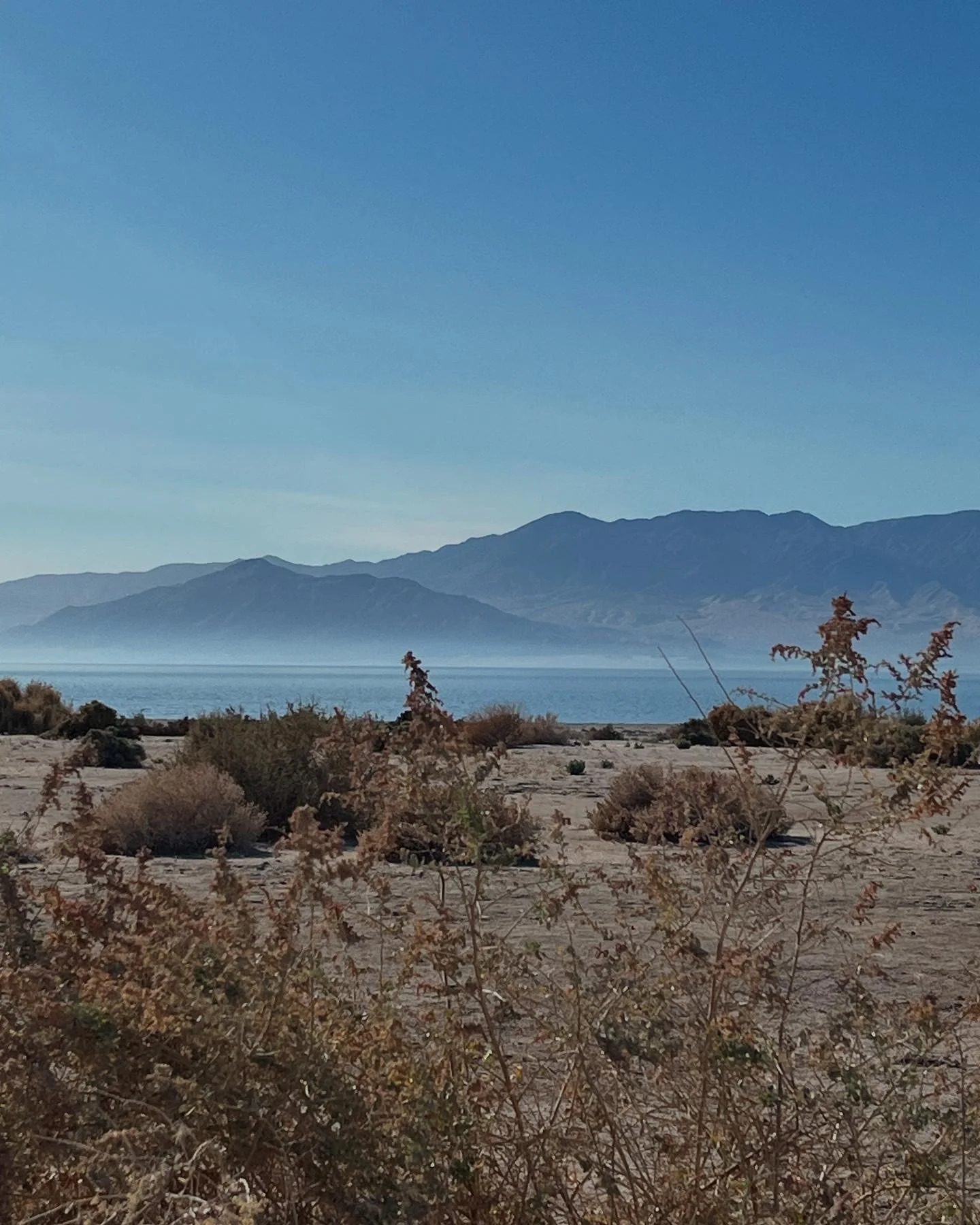 Five Things - January 6, 2025