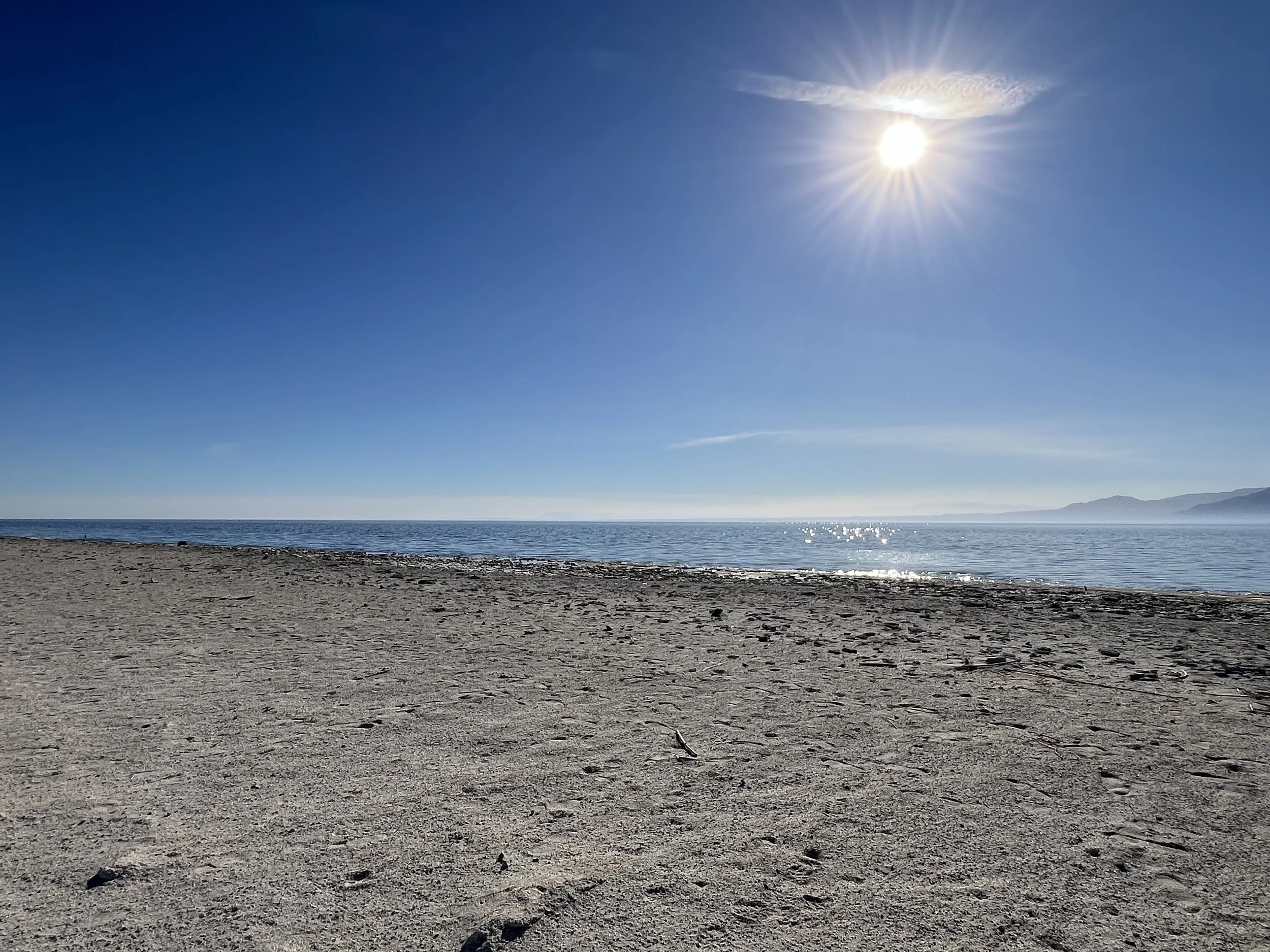 Five Things - January 19, 2025