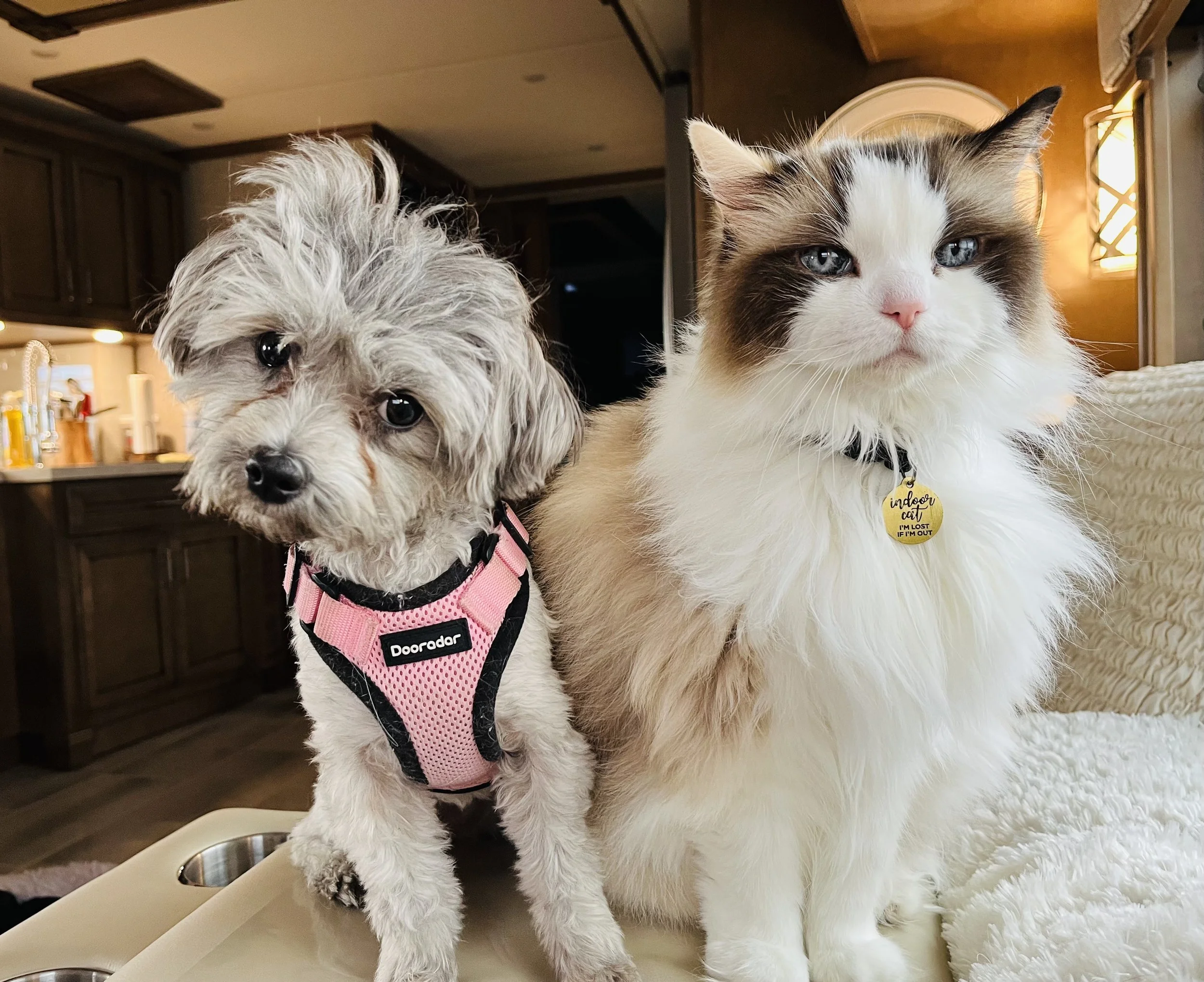 Five Things - April 28, 2025