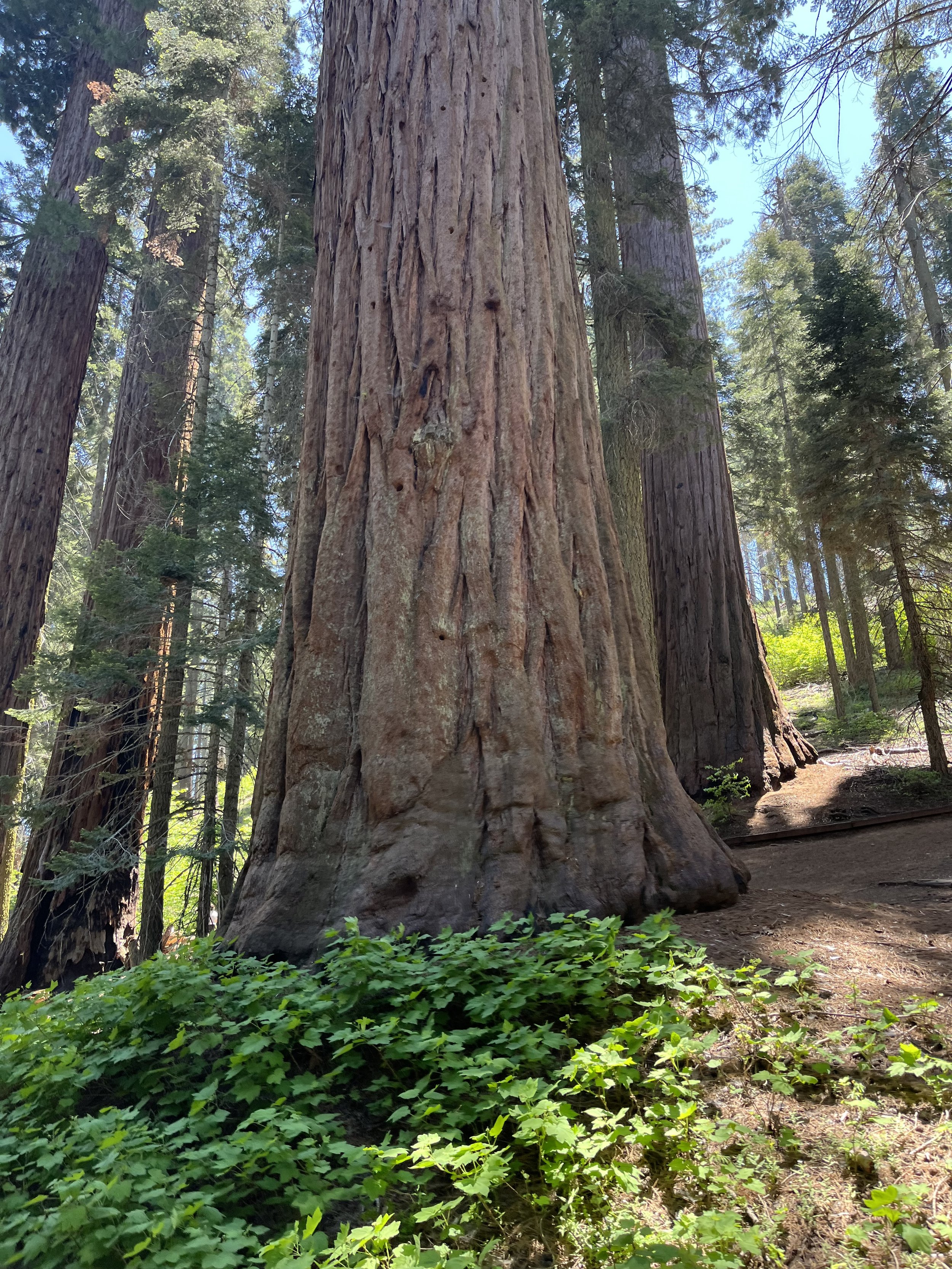 Five Things - June 24, 2025