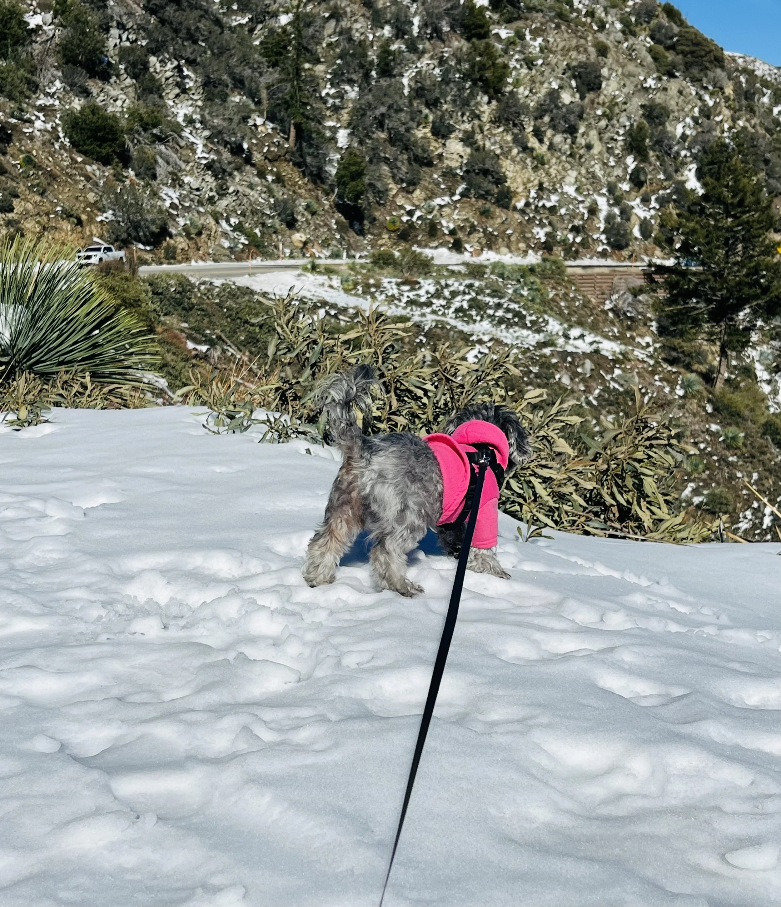 Five Things - March 2, 2026