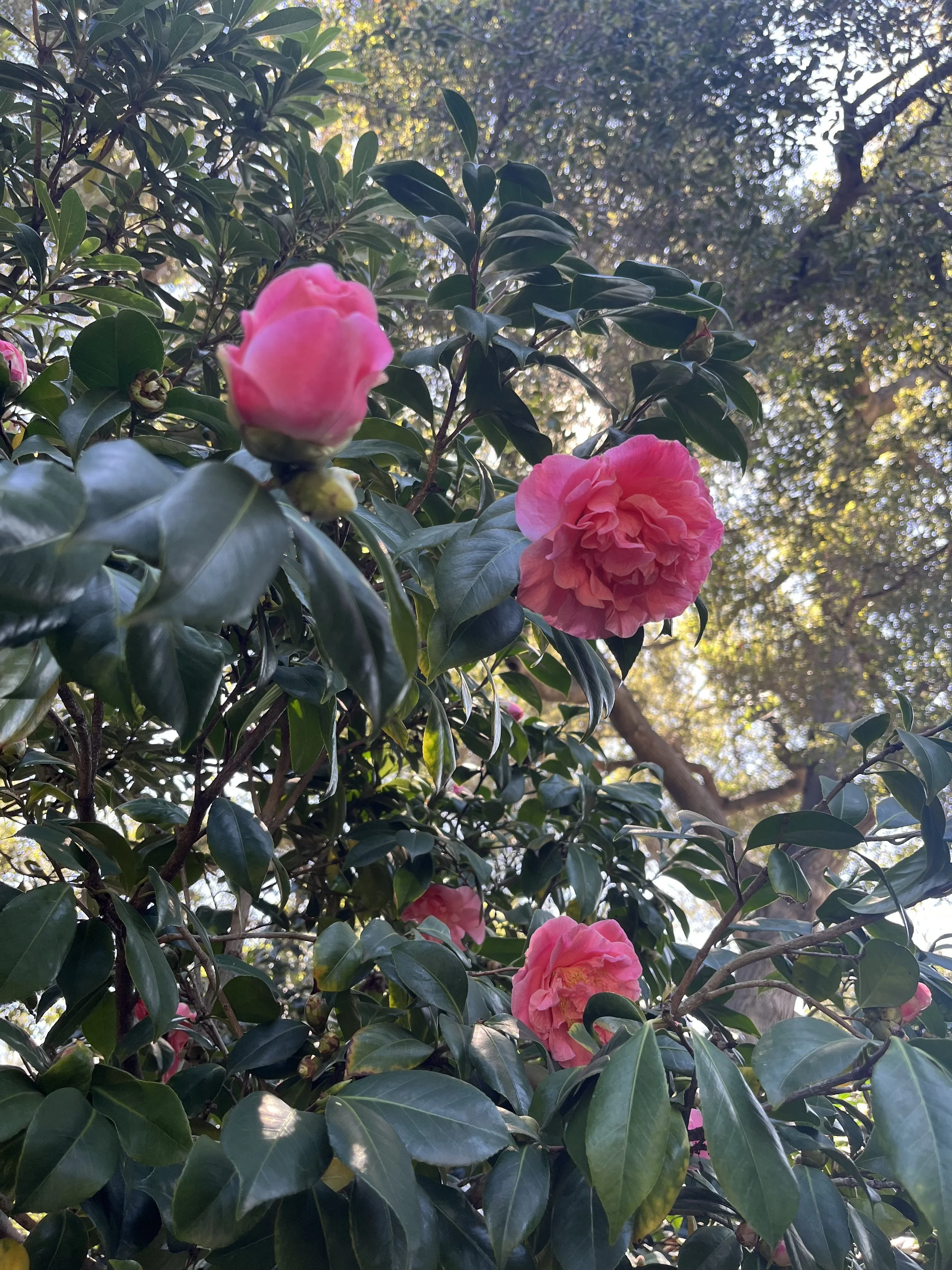 Five Things - April 6, 2026