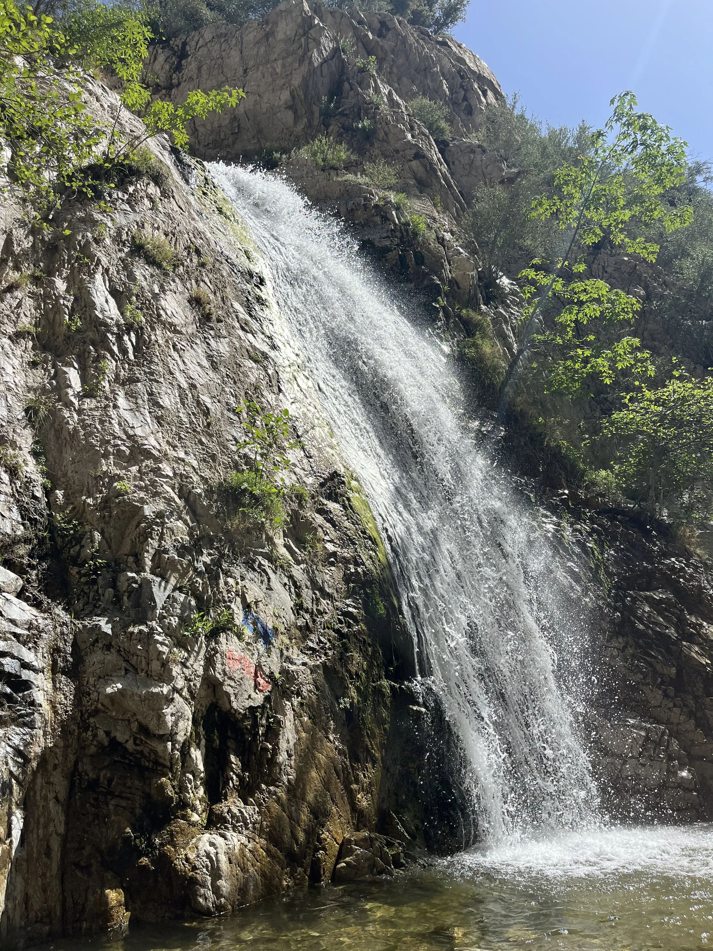 Five Things - April 20, 2026