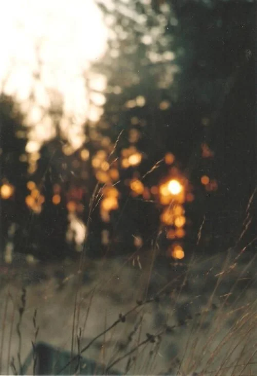 Sunset Kara Rosenlund