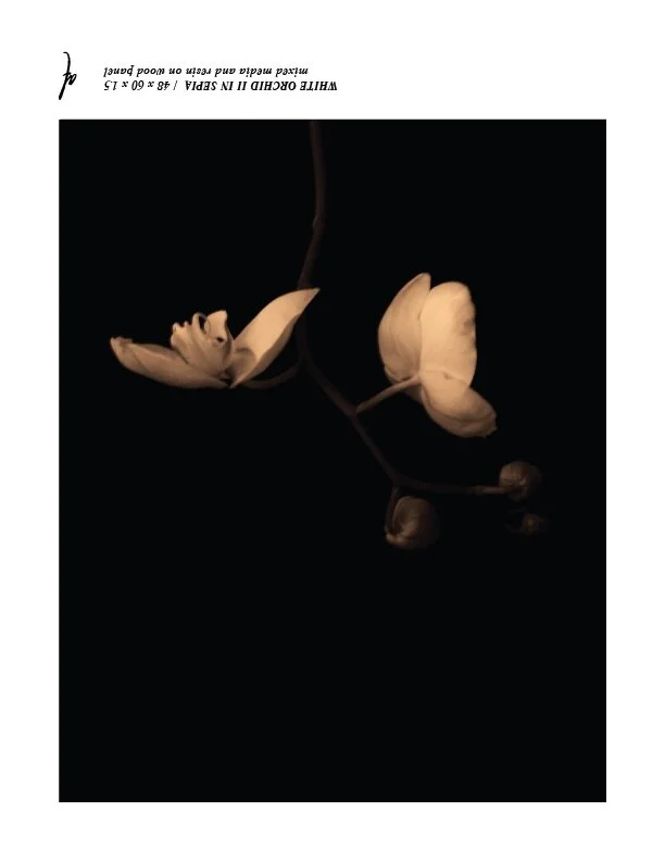 ashley+finnemore+WHITE+ORCHID+IICOME+TOMORROW.jpg
