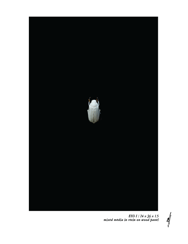 EXOI - ashley finnemore 2019..png