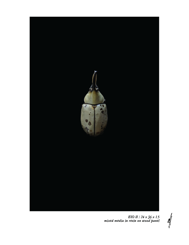 EXOII - ashley finnemore 2019..png