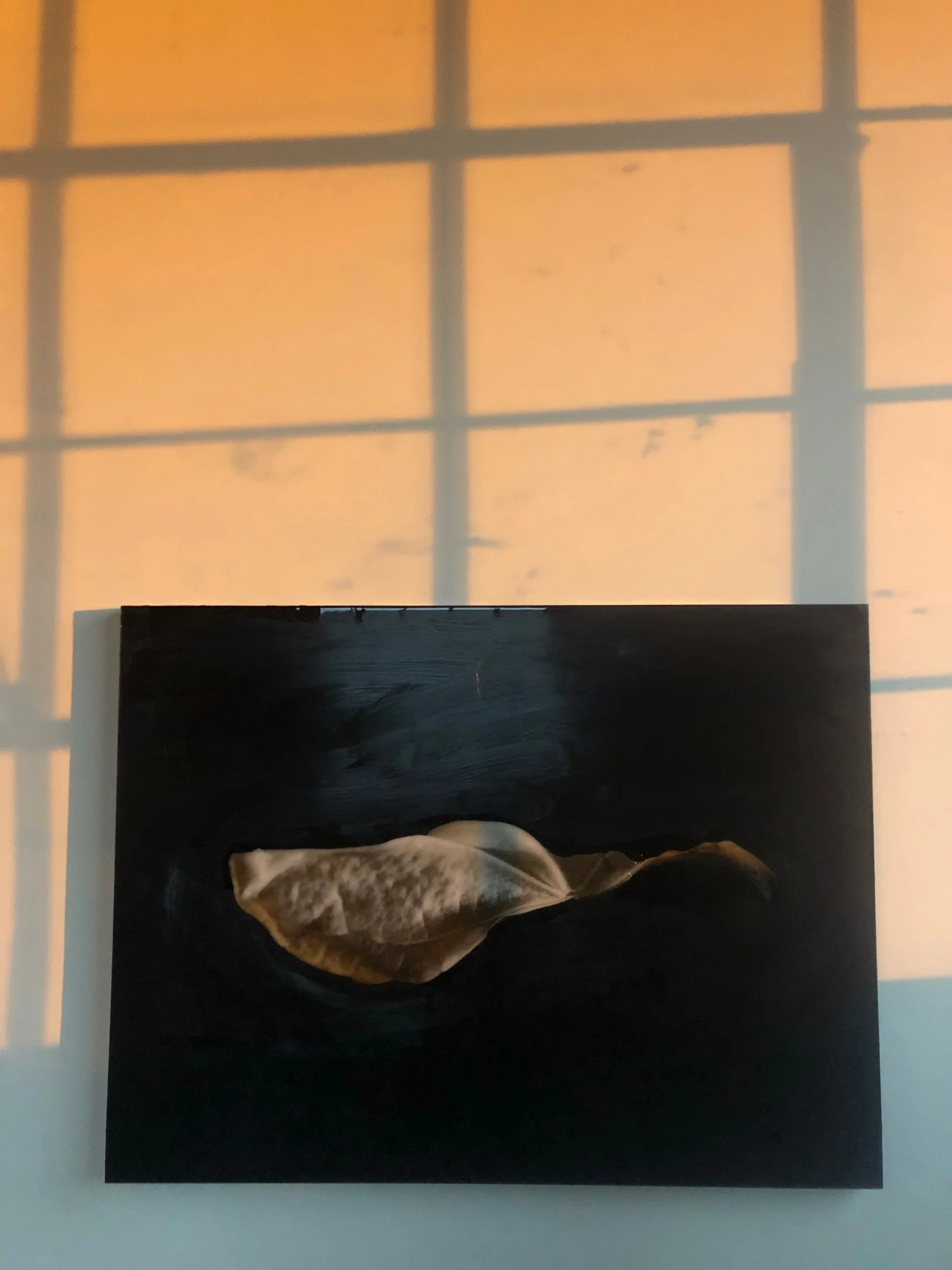 2019-10-26 18.44.05.jpeg
