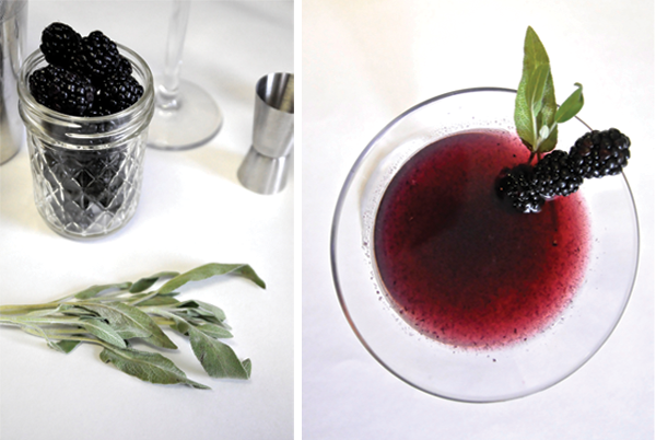DOW-blackberry-sage_2