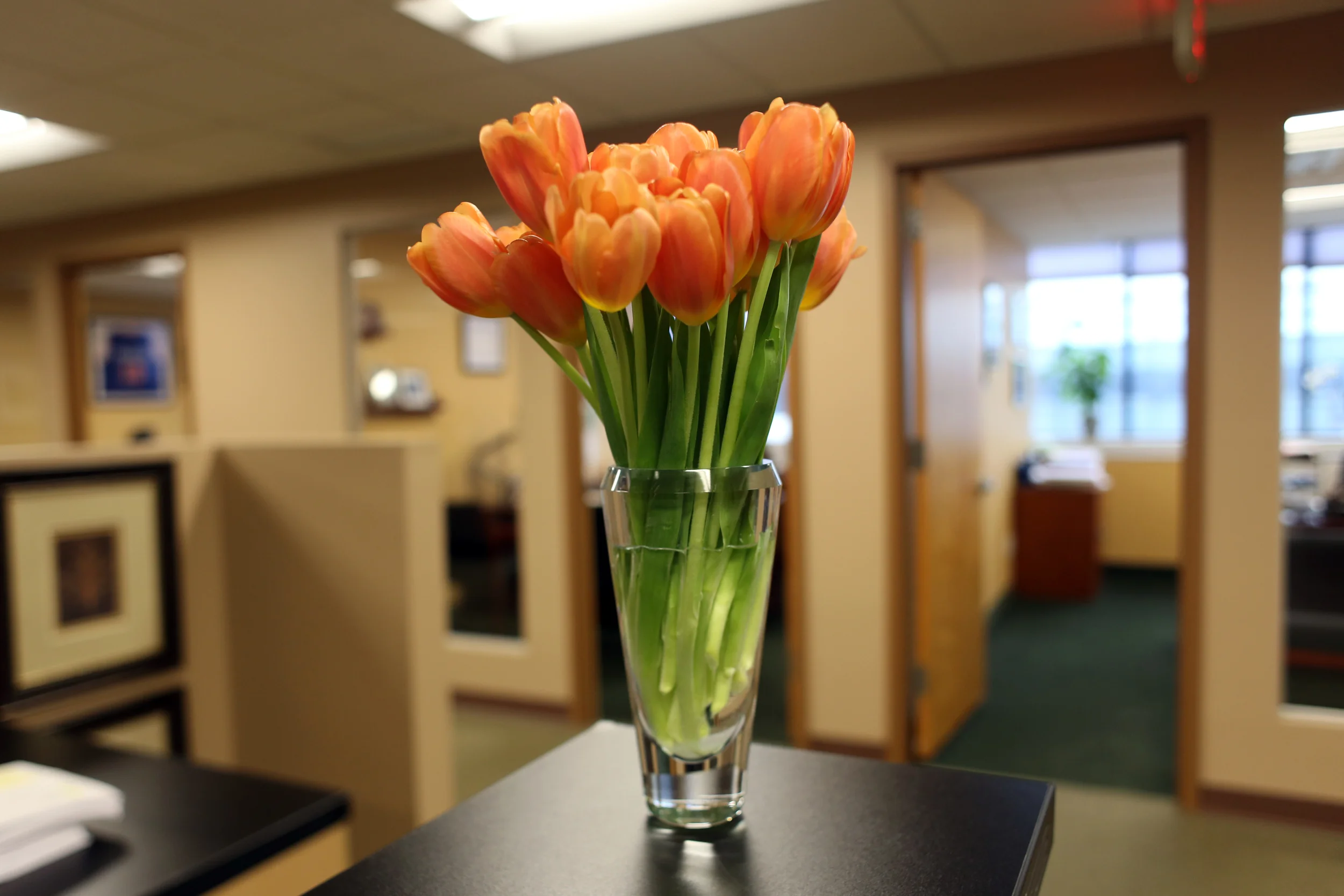  Our new office 