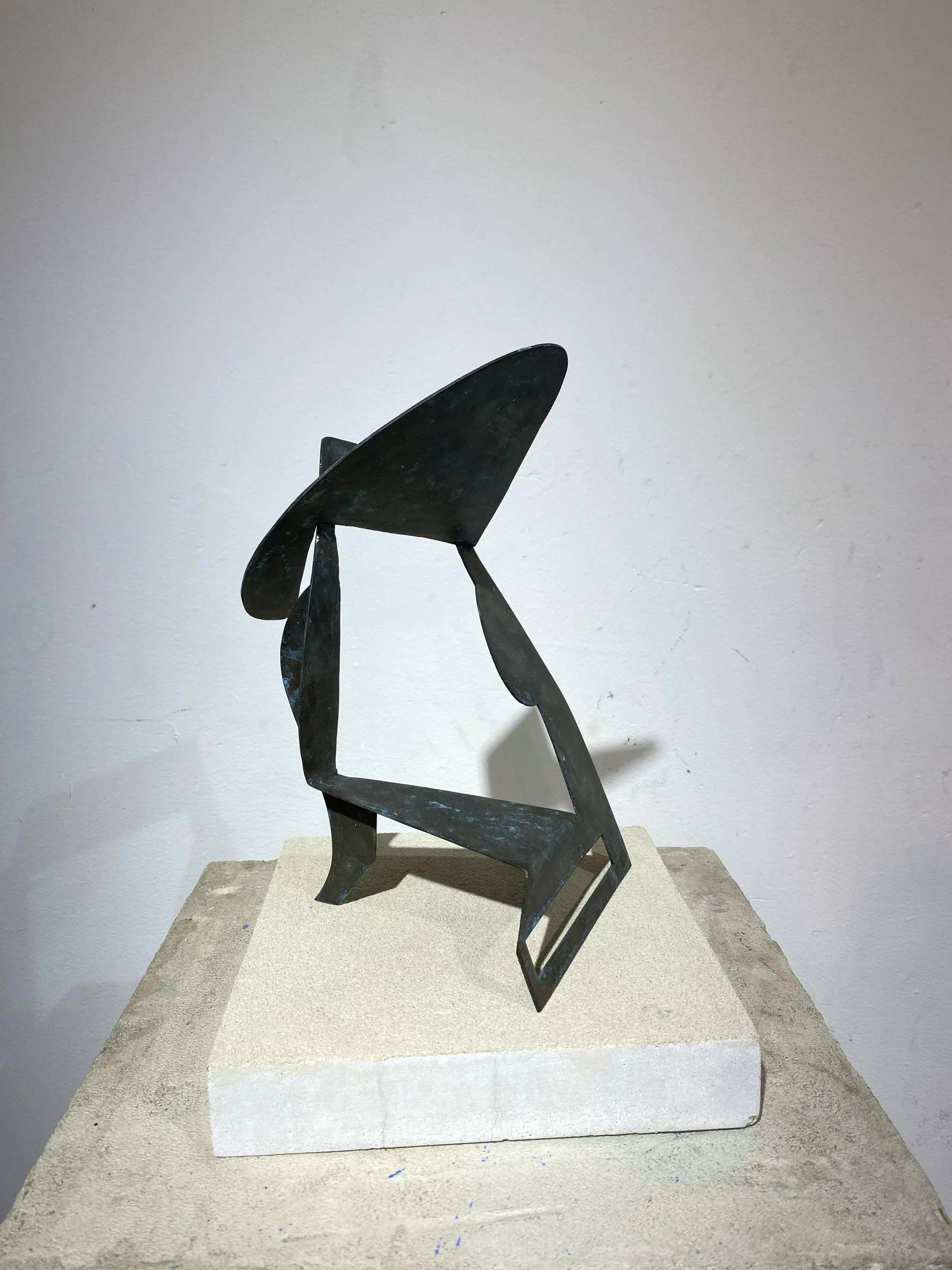 ‘Rocks or whale’