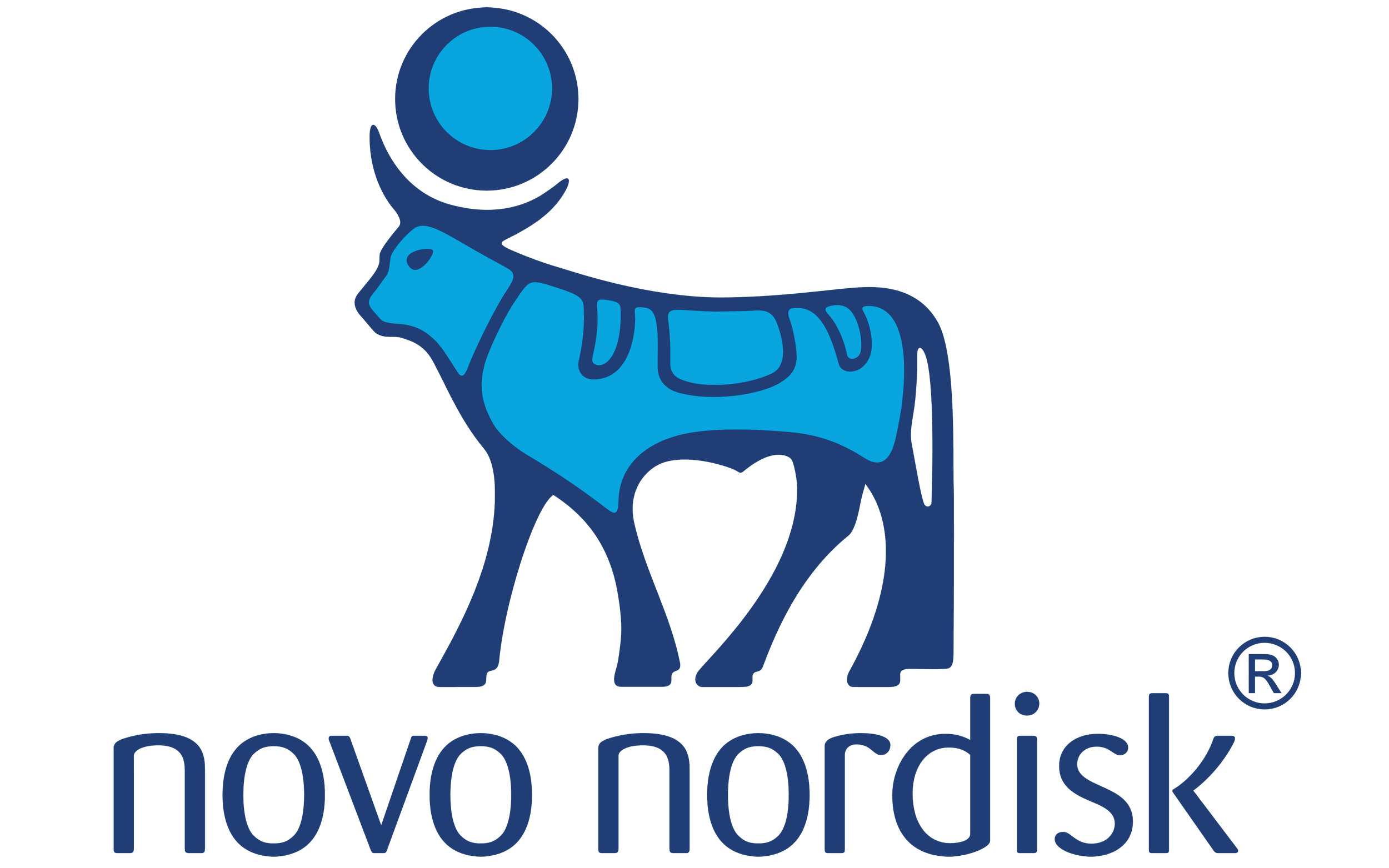 NVO LOGO.png