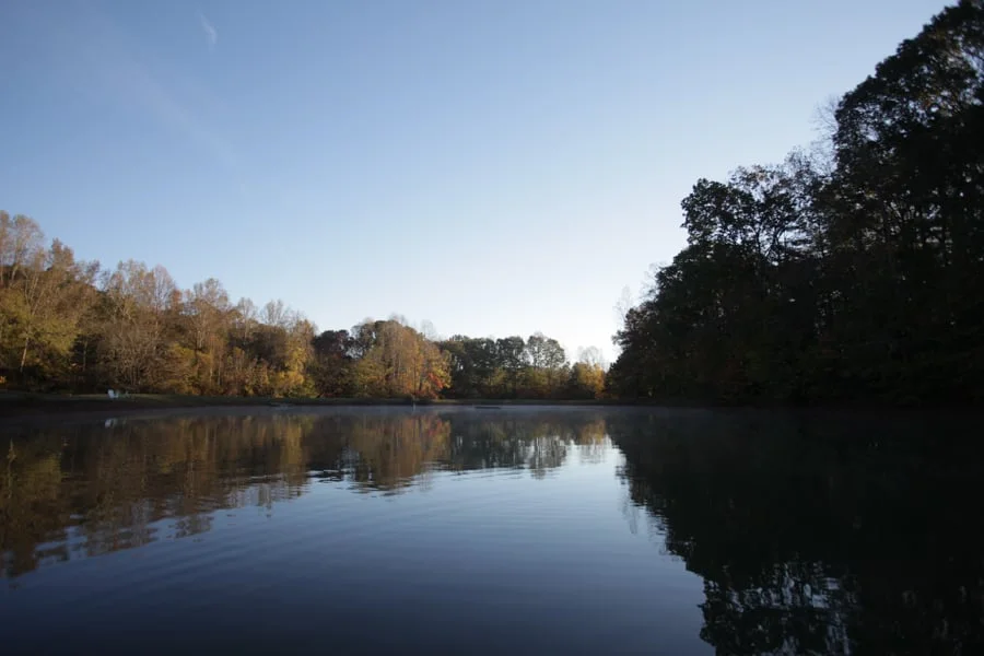 Thank You: The 2015 Year in Review