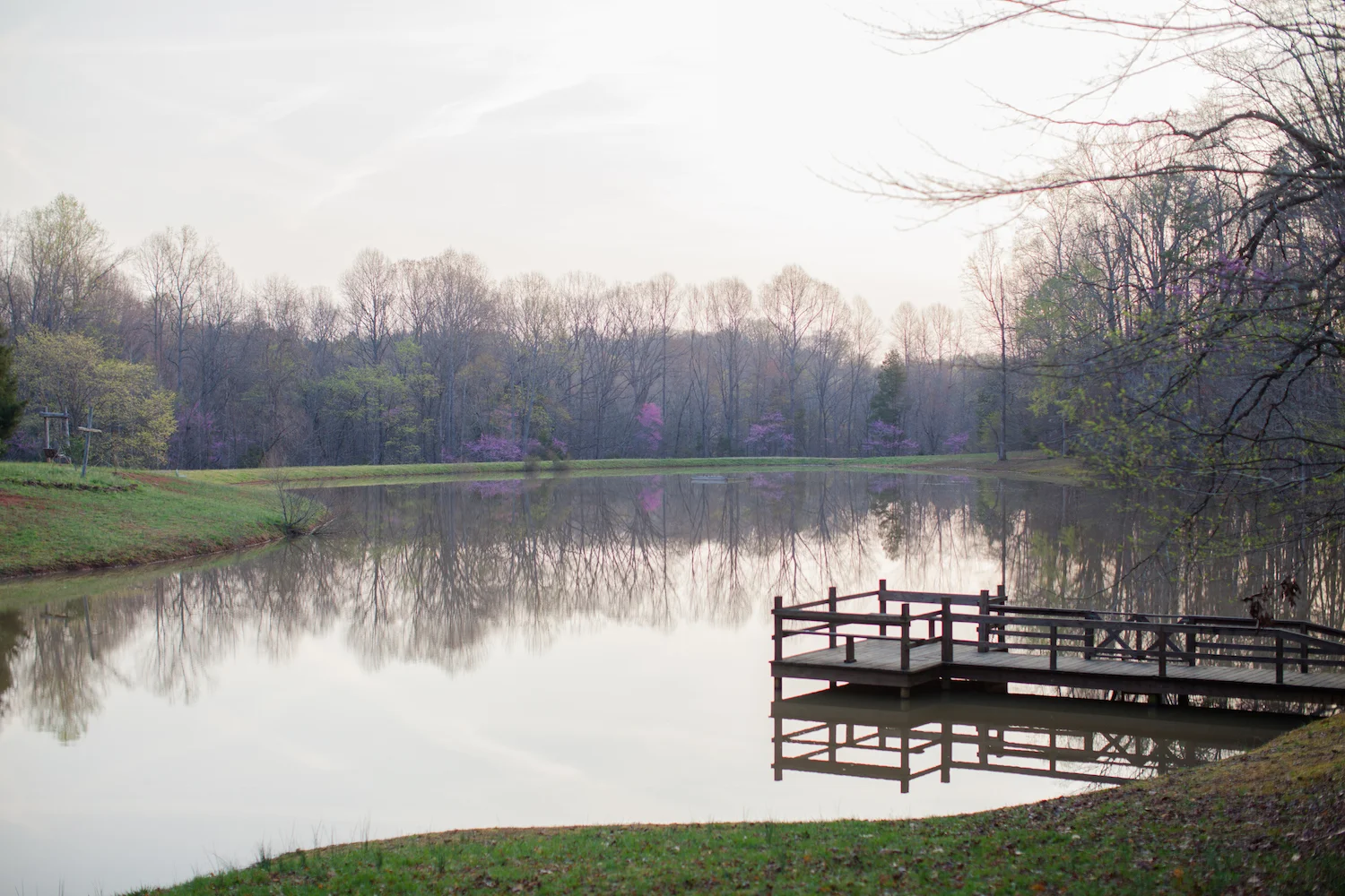 The Importance of Gratitude