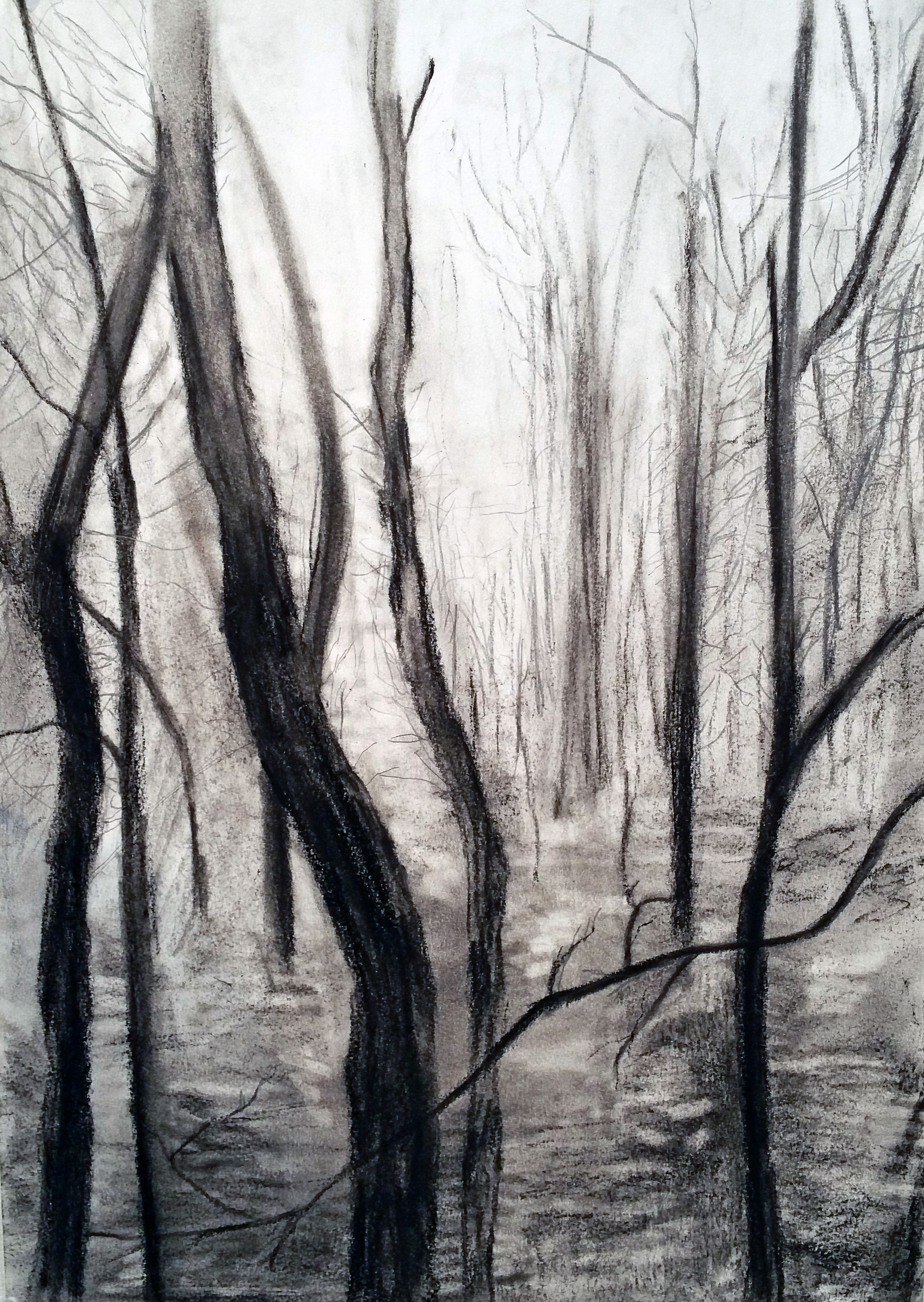 Through the Woods