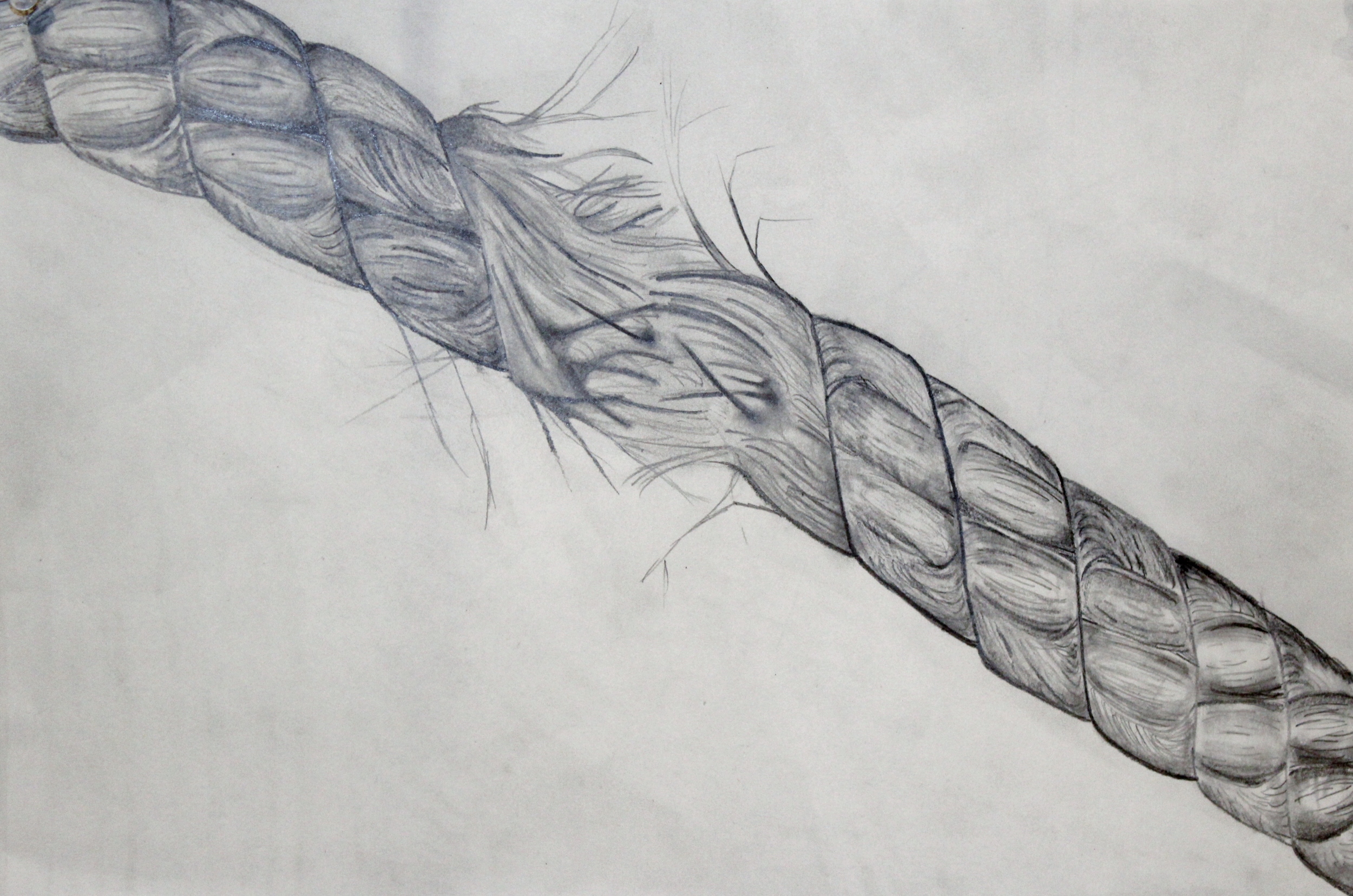 Collin Scheiner, '17