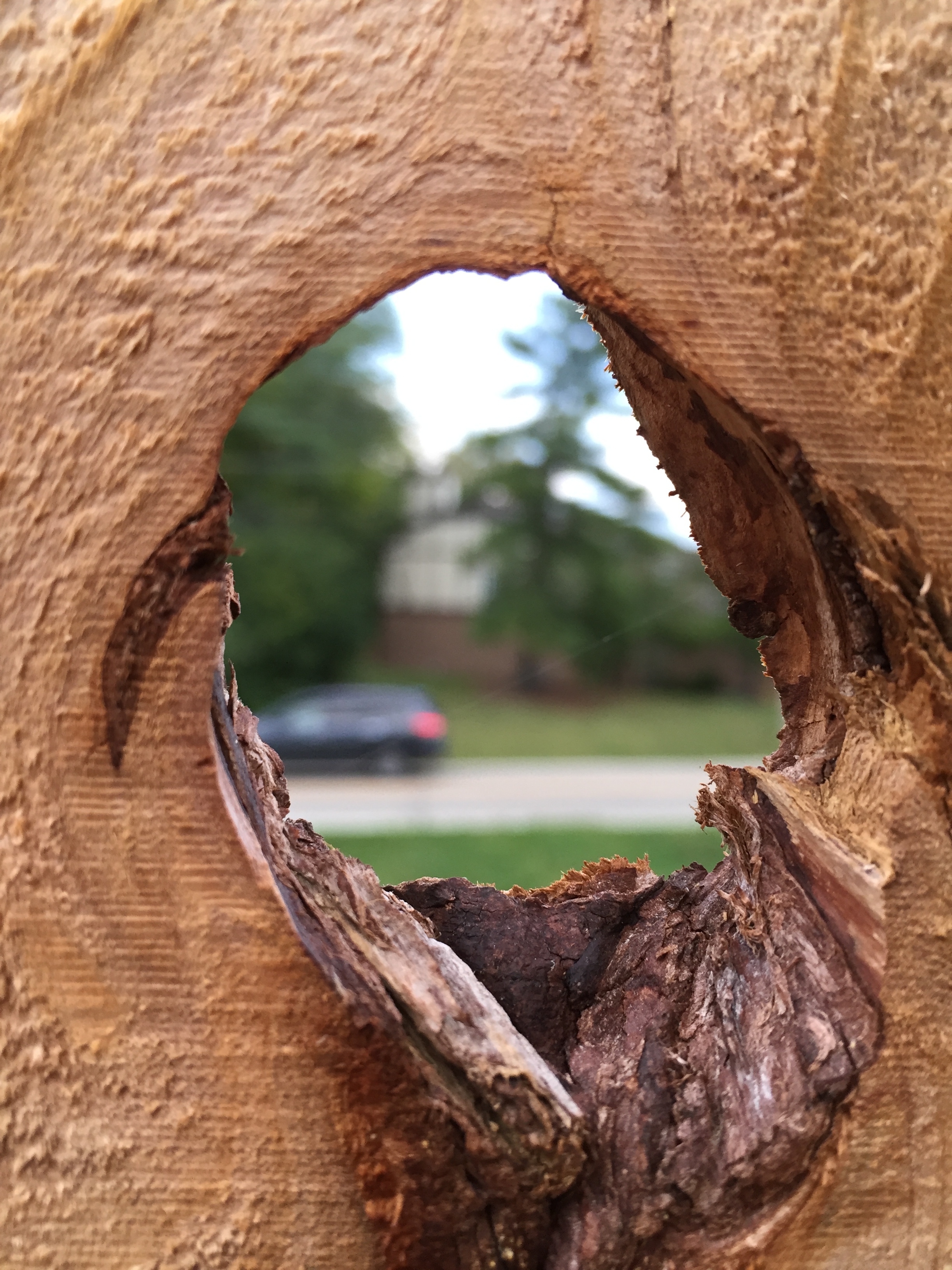 Behind the Wall