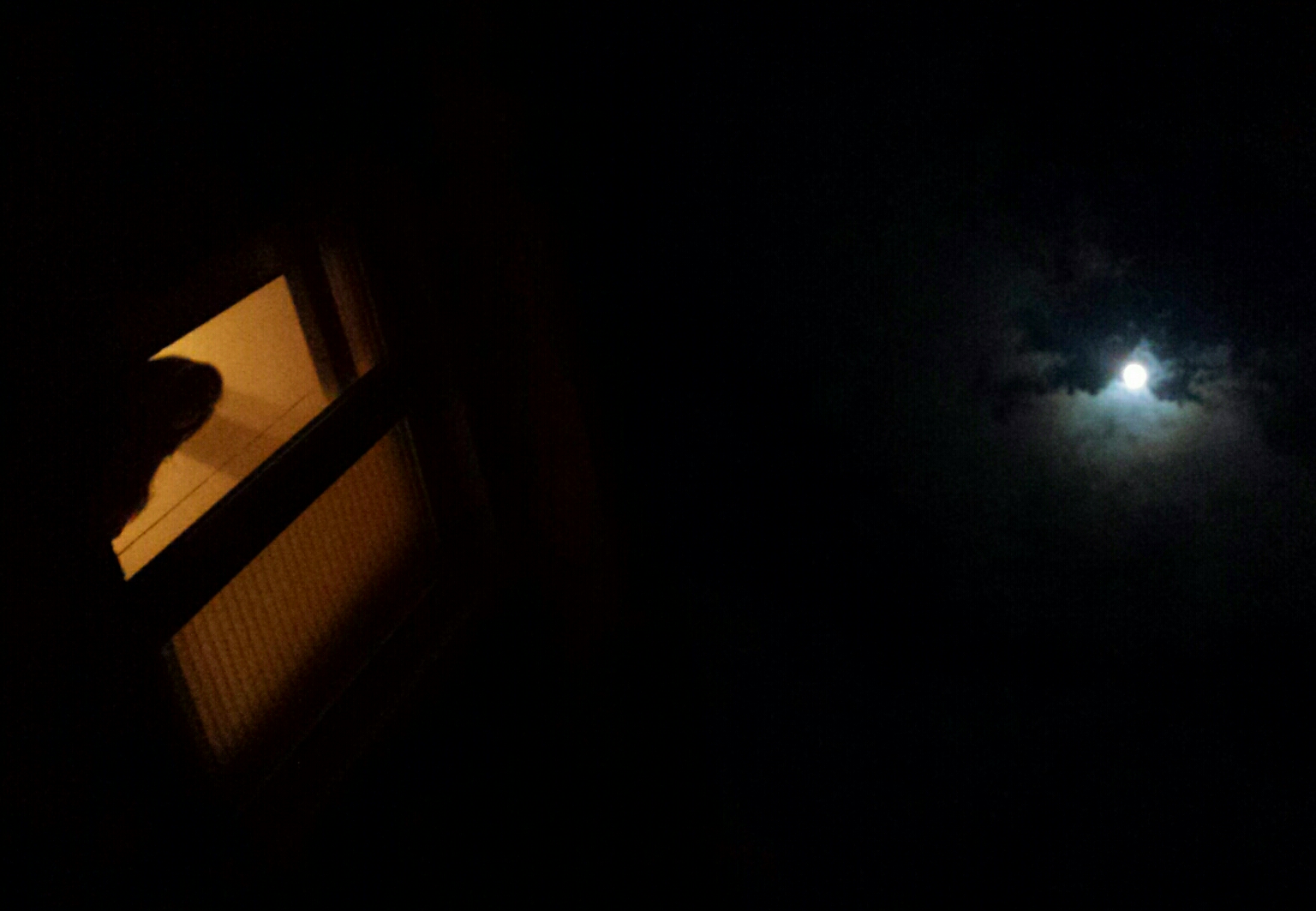 Moonlight