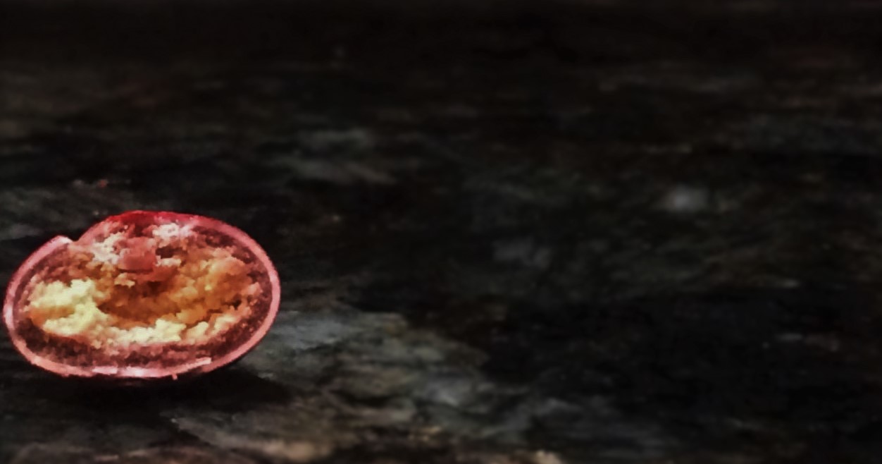Untitled (M&M)