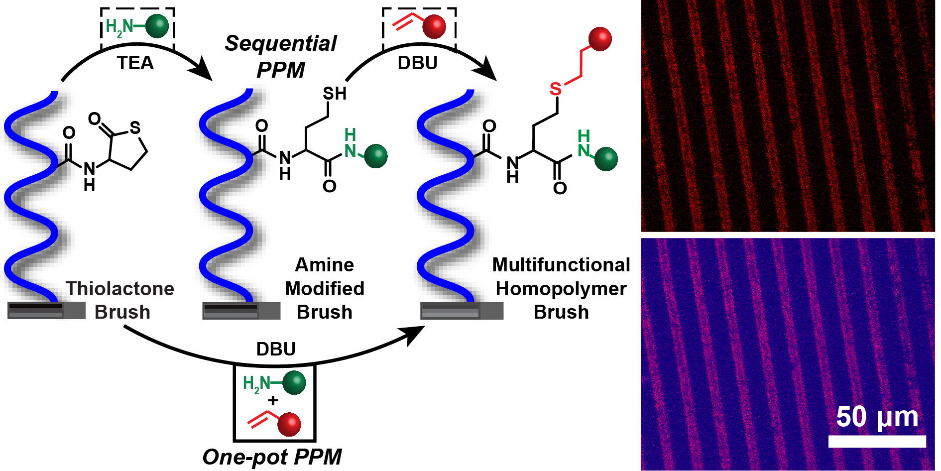 TOC_EPS-05-01.png