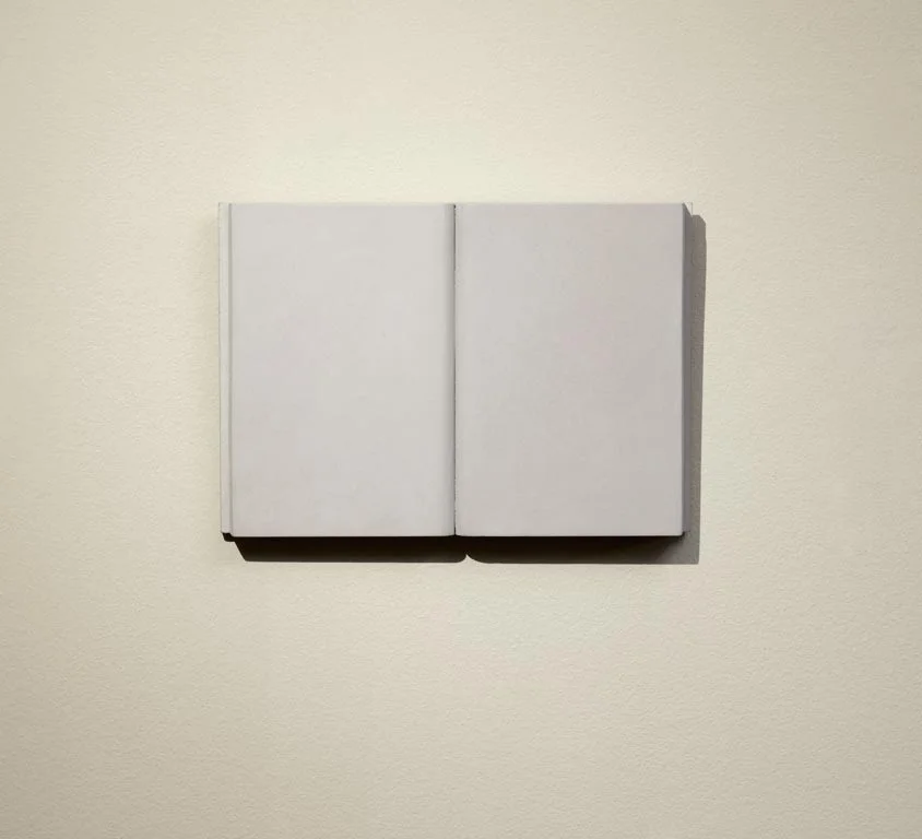 Capítulo, 2011