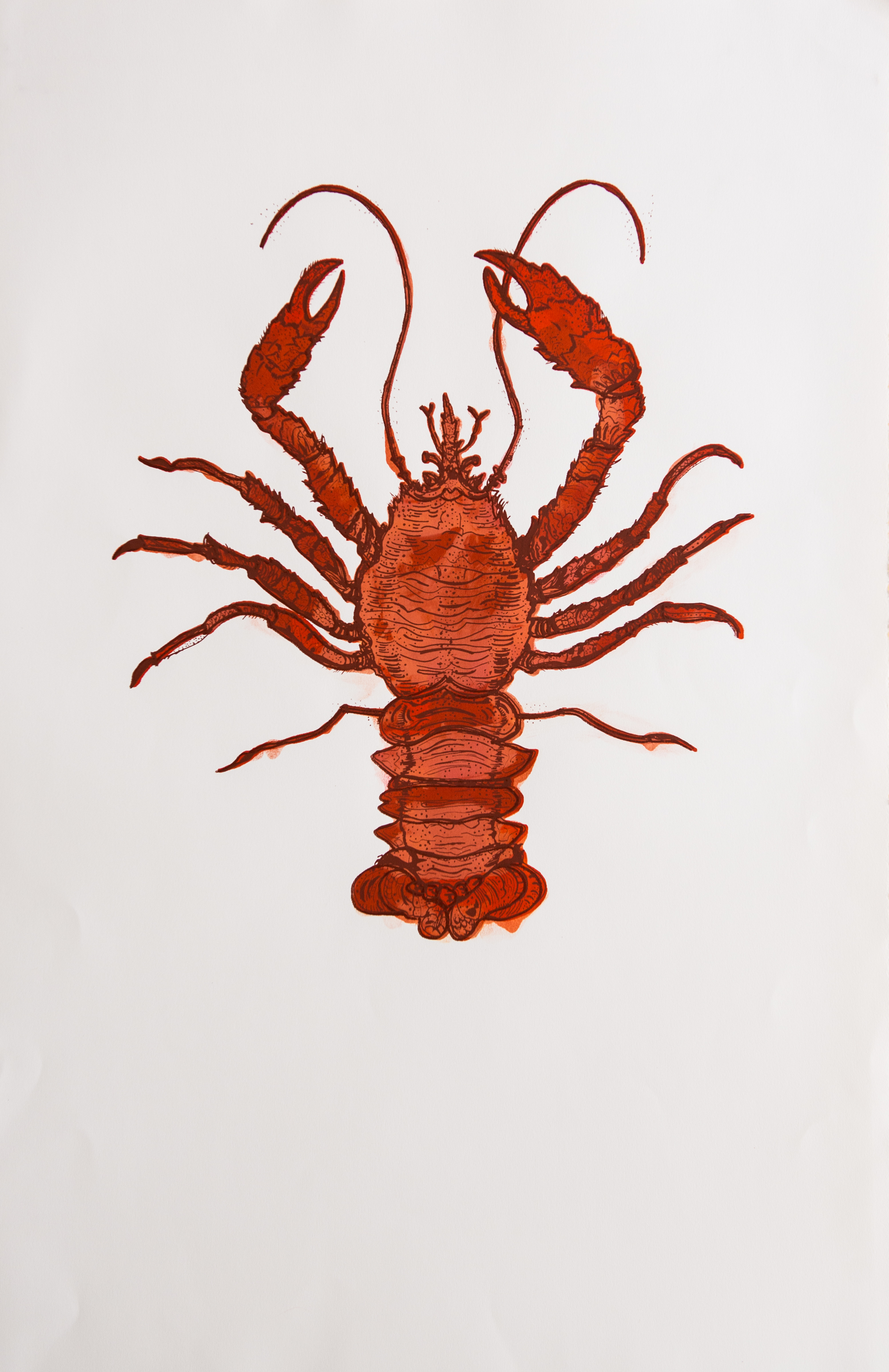 Lobster, 2014Silk screened print30" x 40"