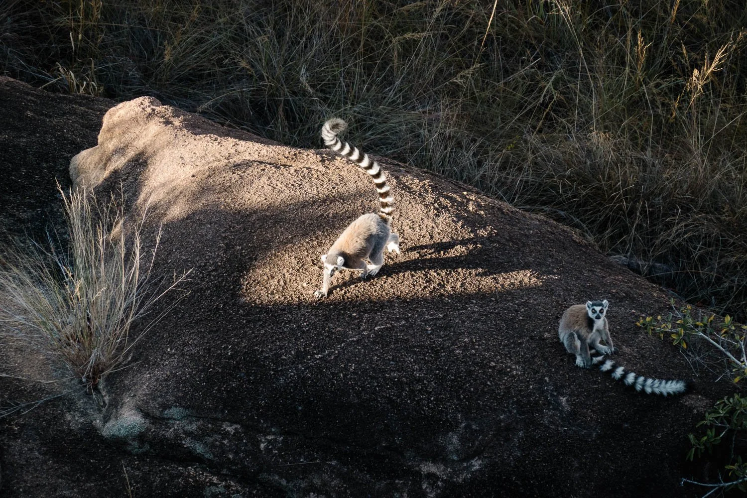Tsaranoro_Climbing_Expedition_© Carlos Simes-2.jpg