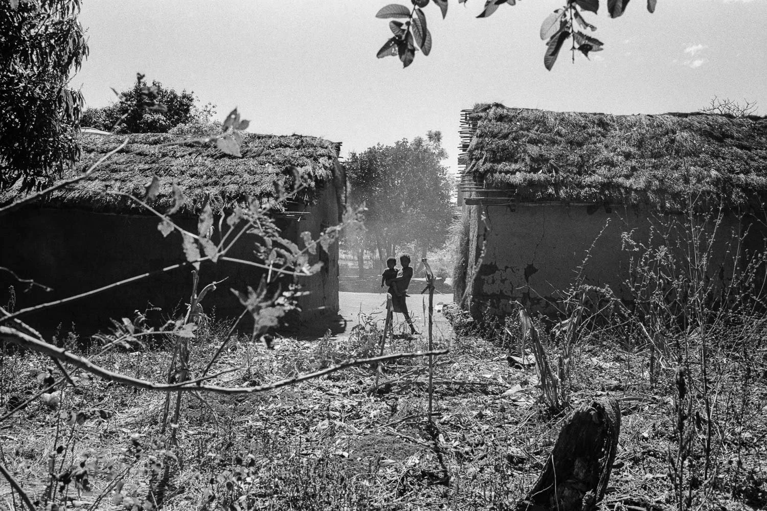 Madagascar_Tsaranoro_© Carlos Simes-2.jpg