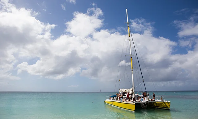 buck-island-catamaran-sail-and-snorkel-st-thomas-STO9-mosaic.jpg