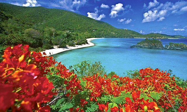 trunk-bay-STO08-mosaic.jpg