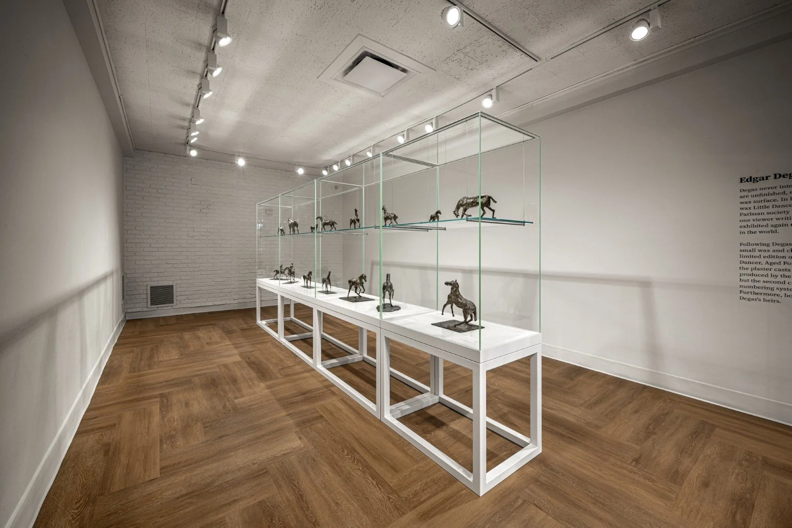Degas 26 CaseWerks 5 (Large).jpg