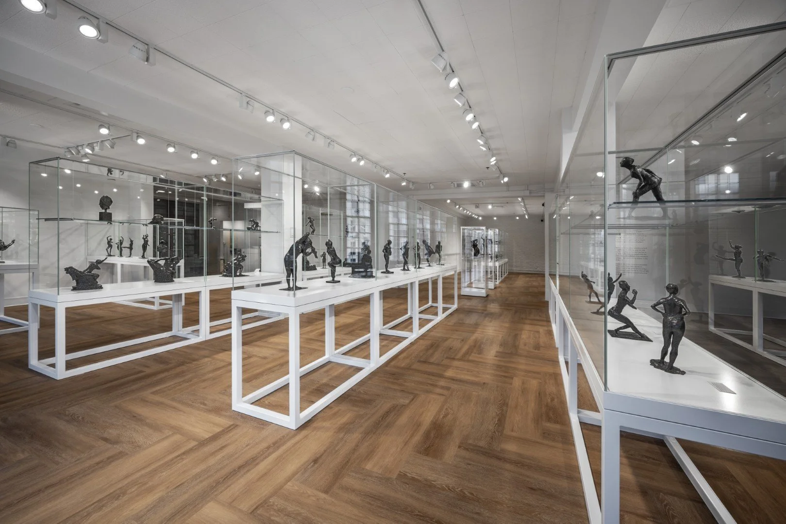 Degas 26 CaseWerks 2 (Large).jpg
