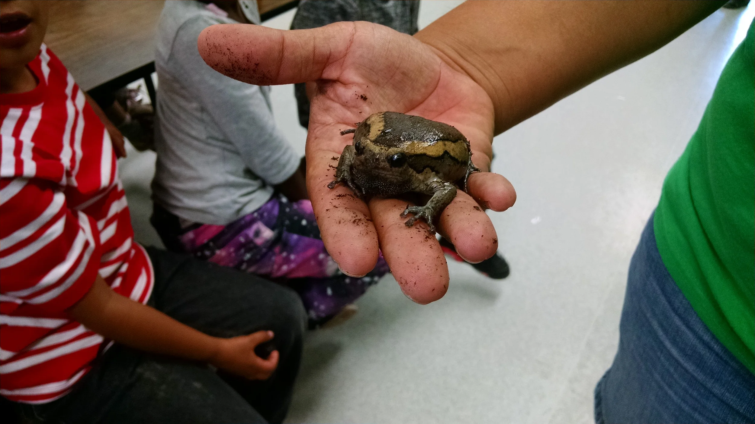 Reptacular Animal Education Show at Antelope Elementary