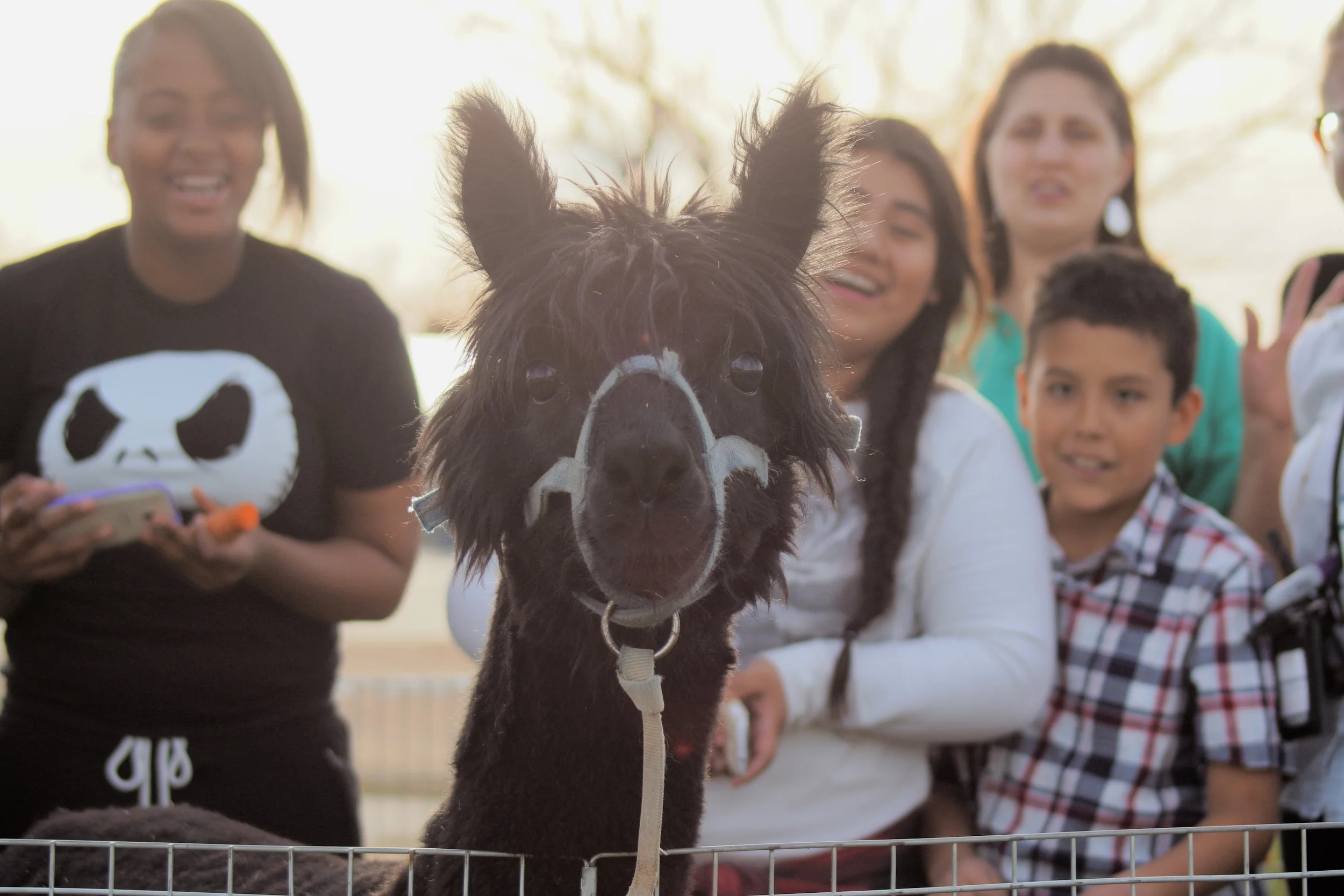 Animal Education at Piute Middle School