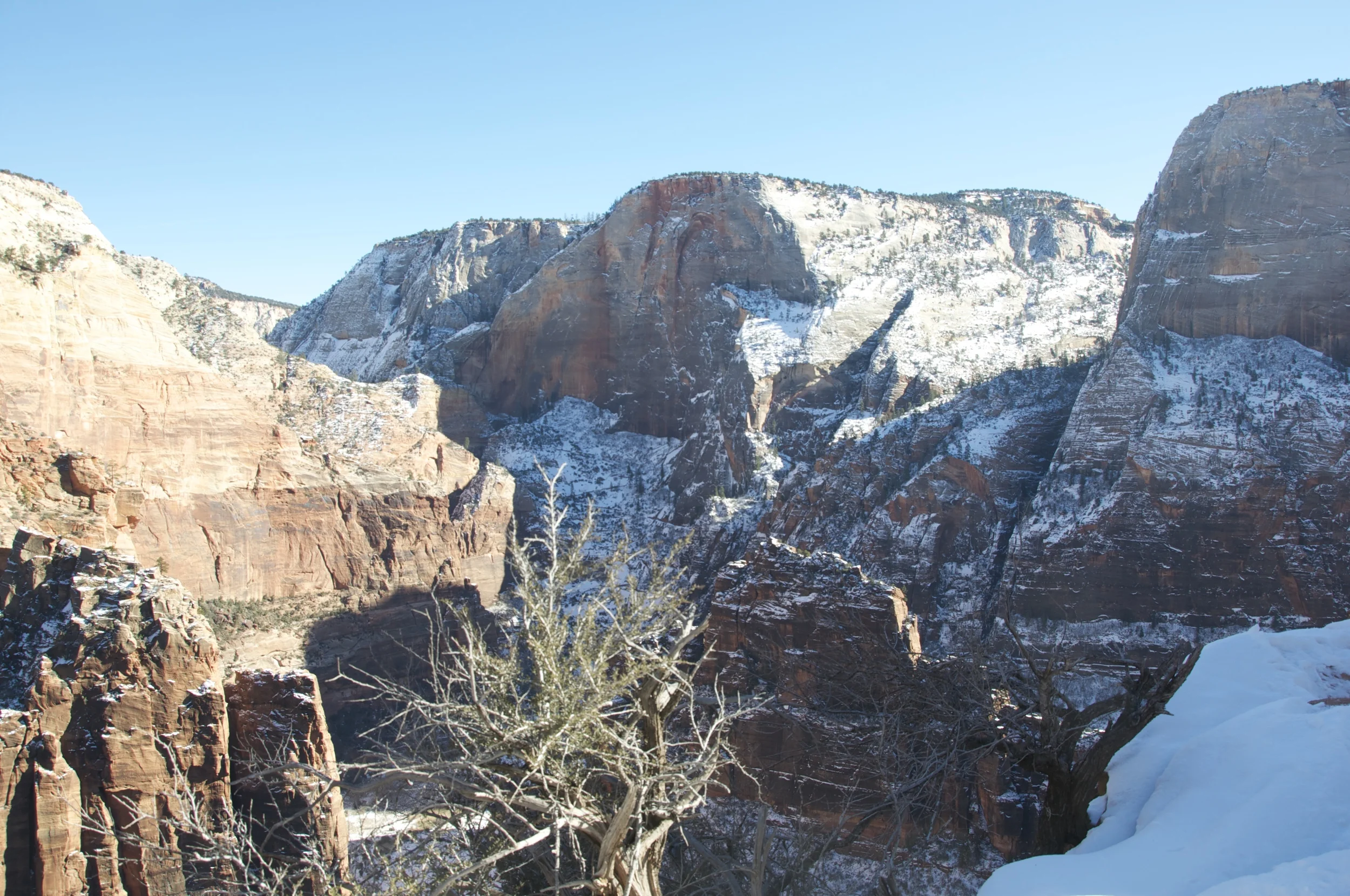 DSC_0119.jpg