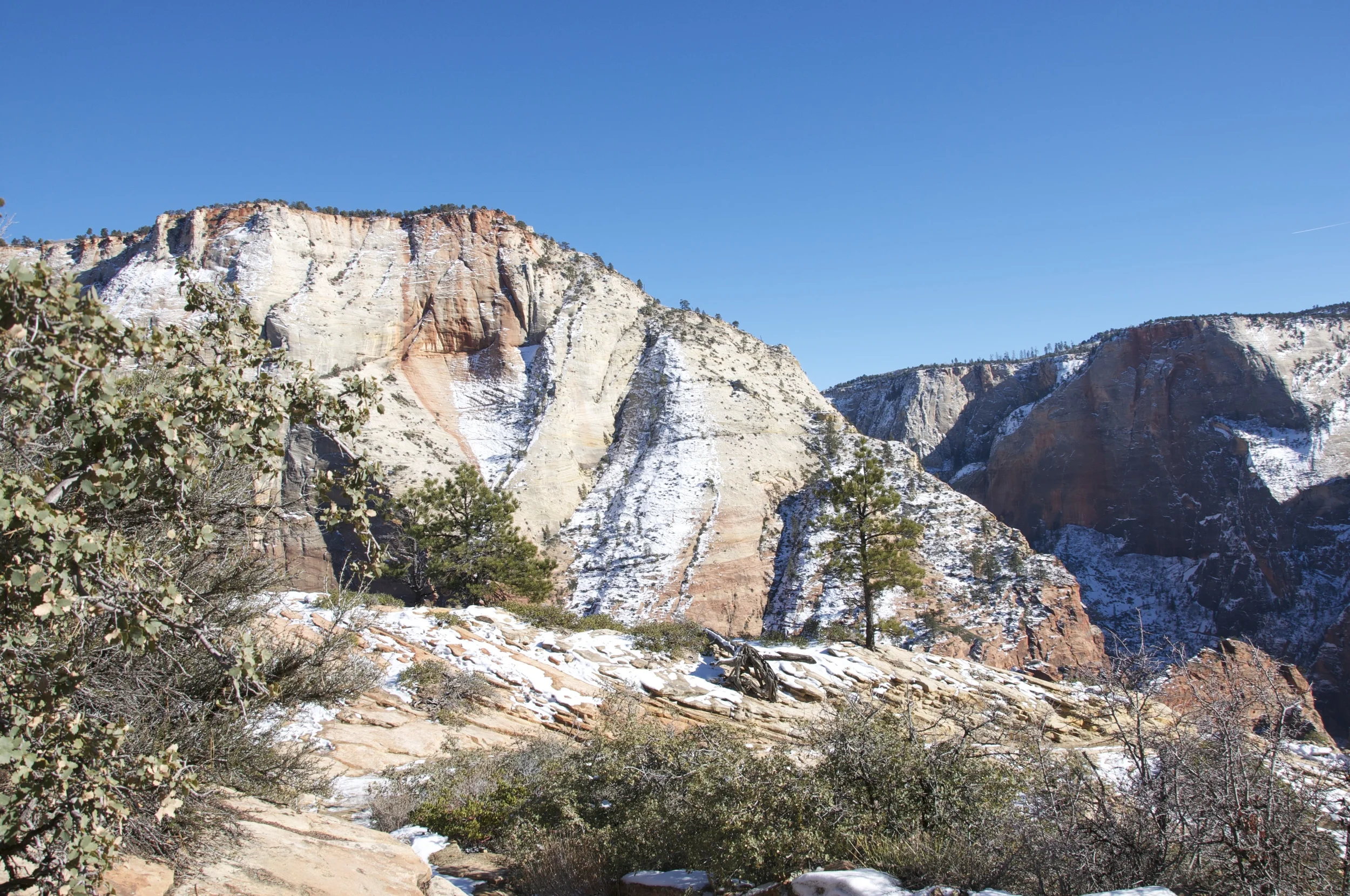 DSC_0132.jpg