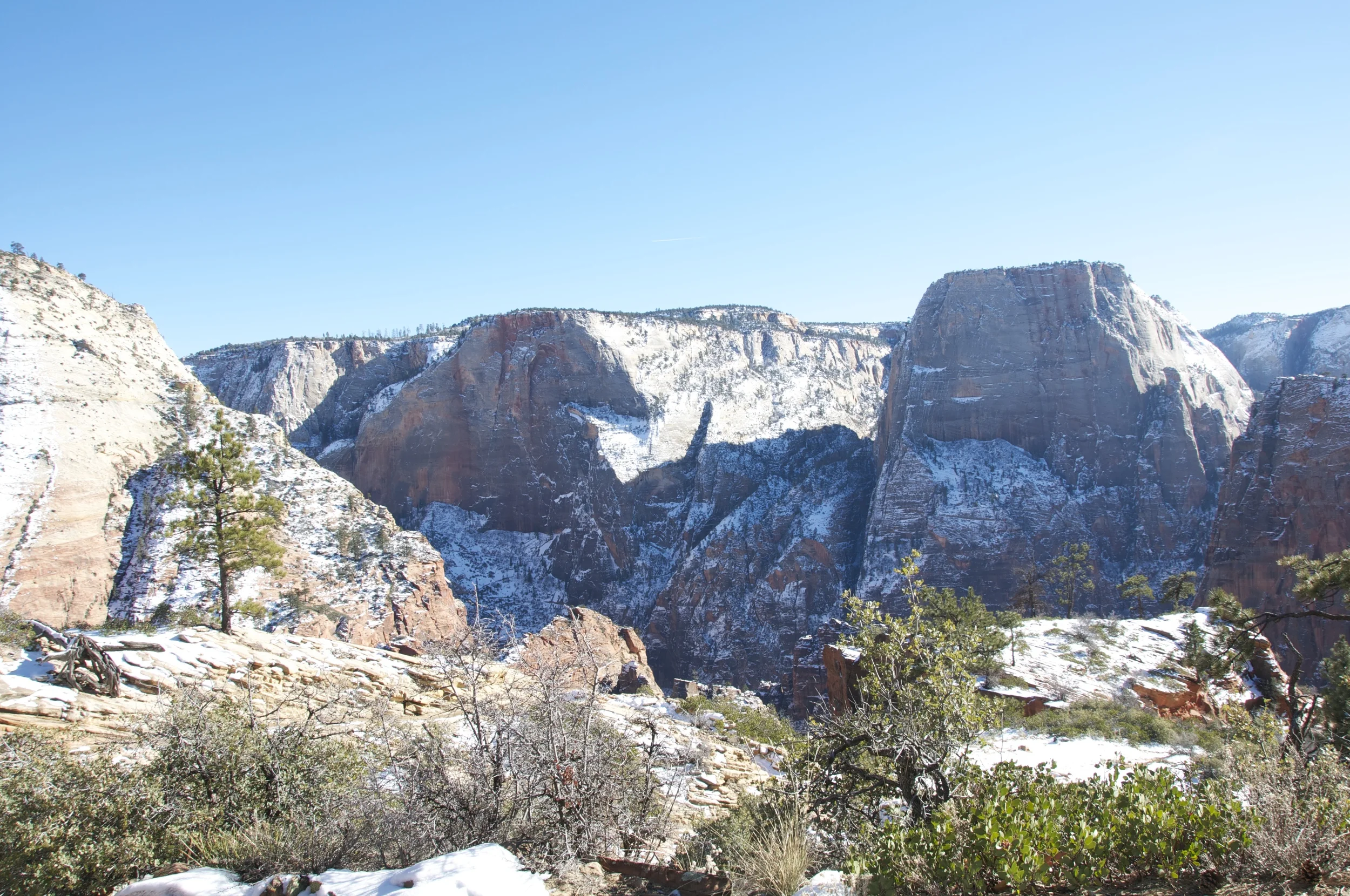 DSC_0131.jpg